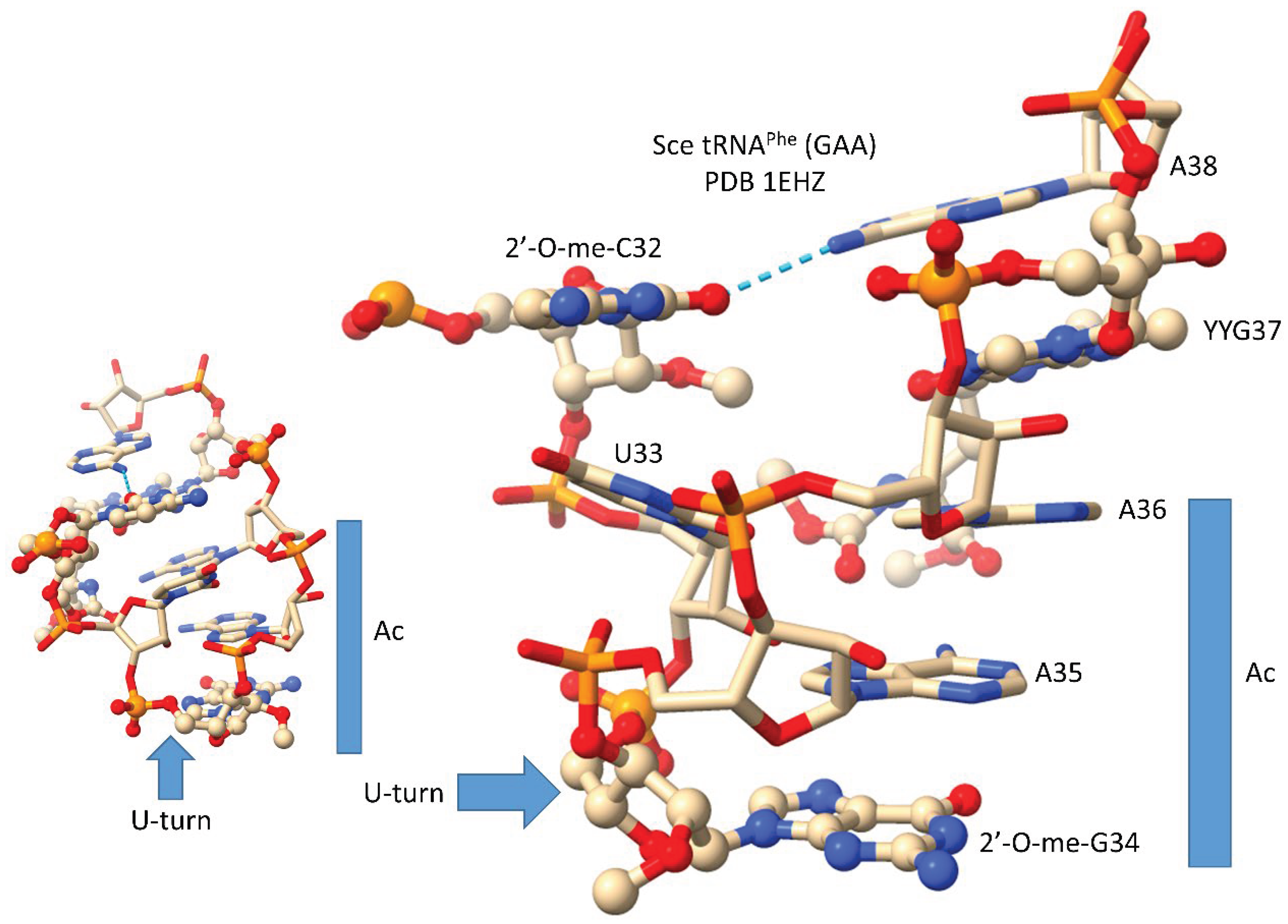 Preprints 172084 g010