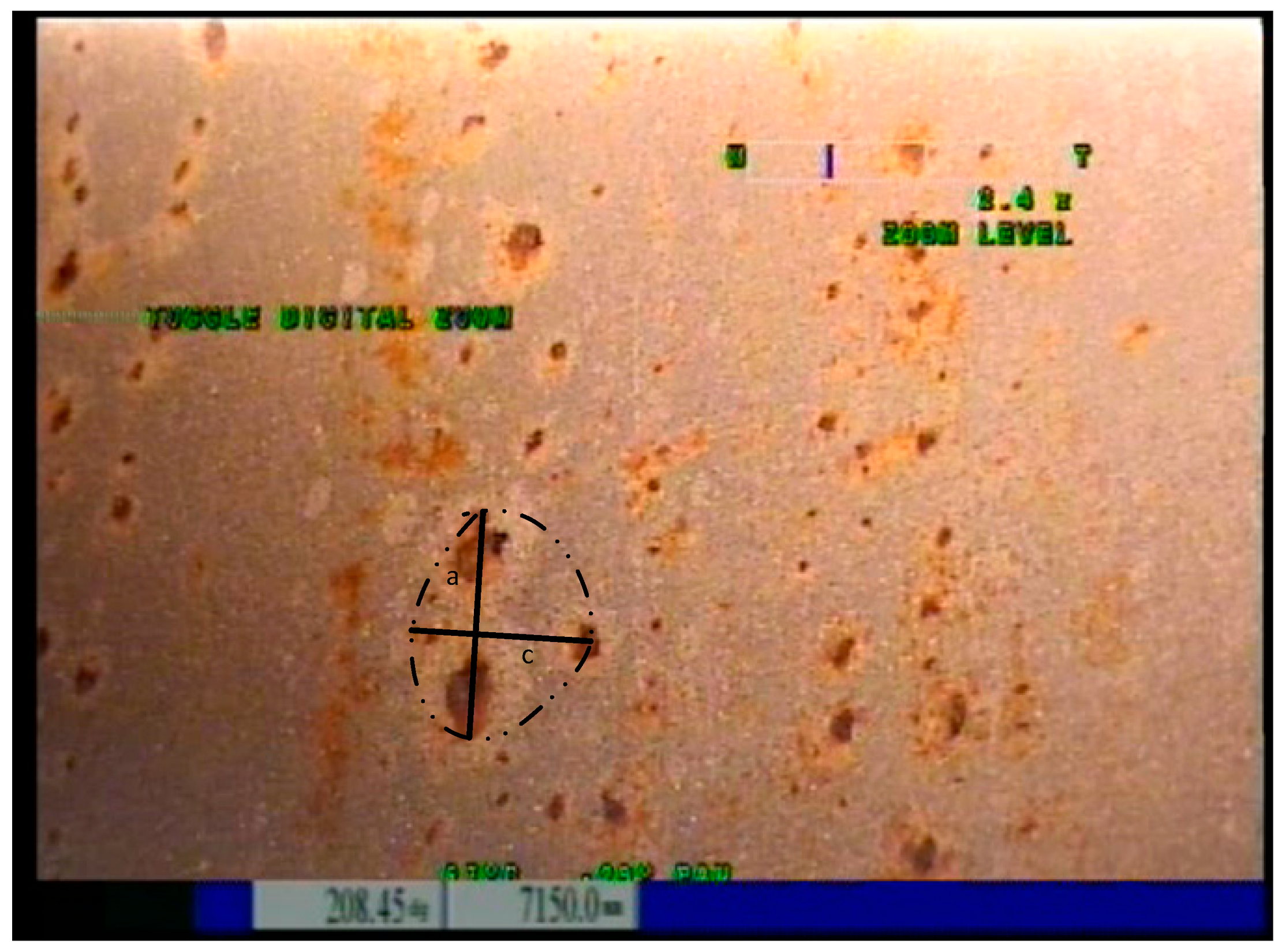 Preprints 190549 g007