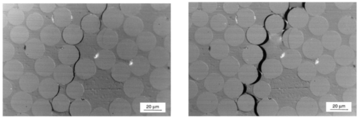 Preprints 227875 g005