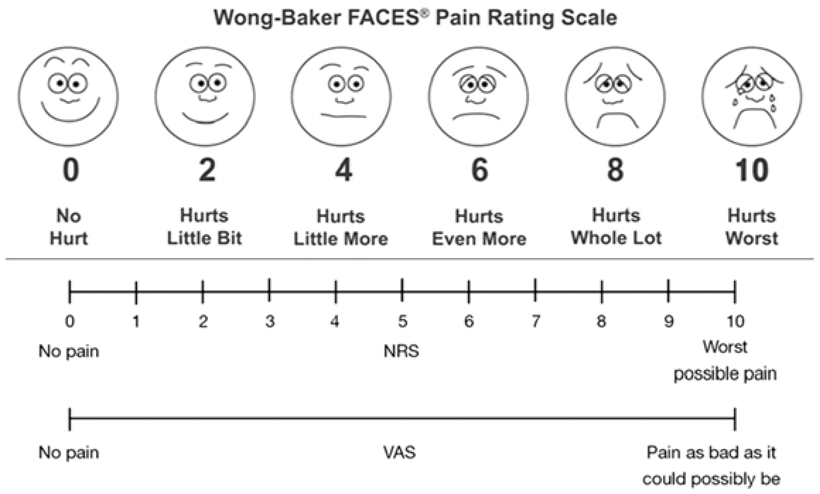 Preprints 146371 g001