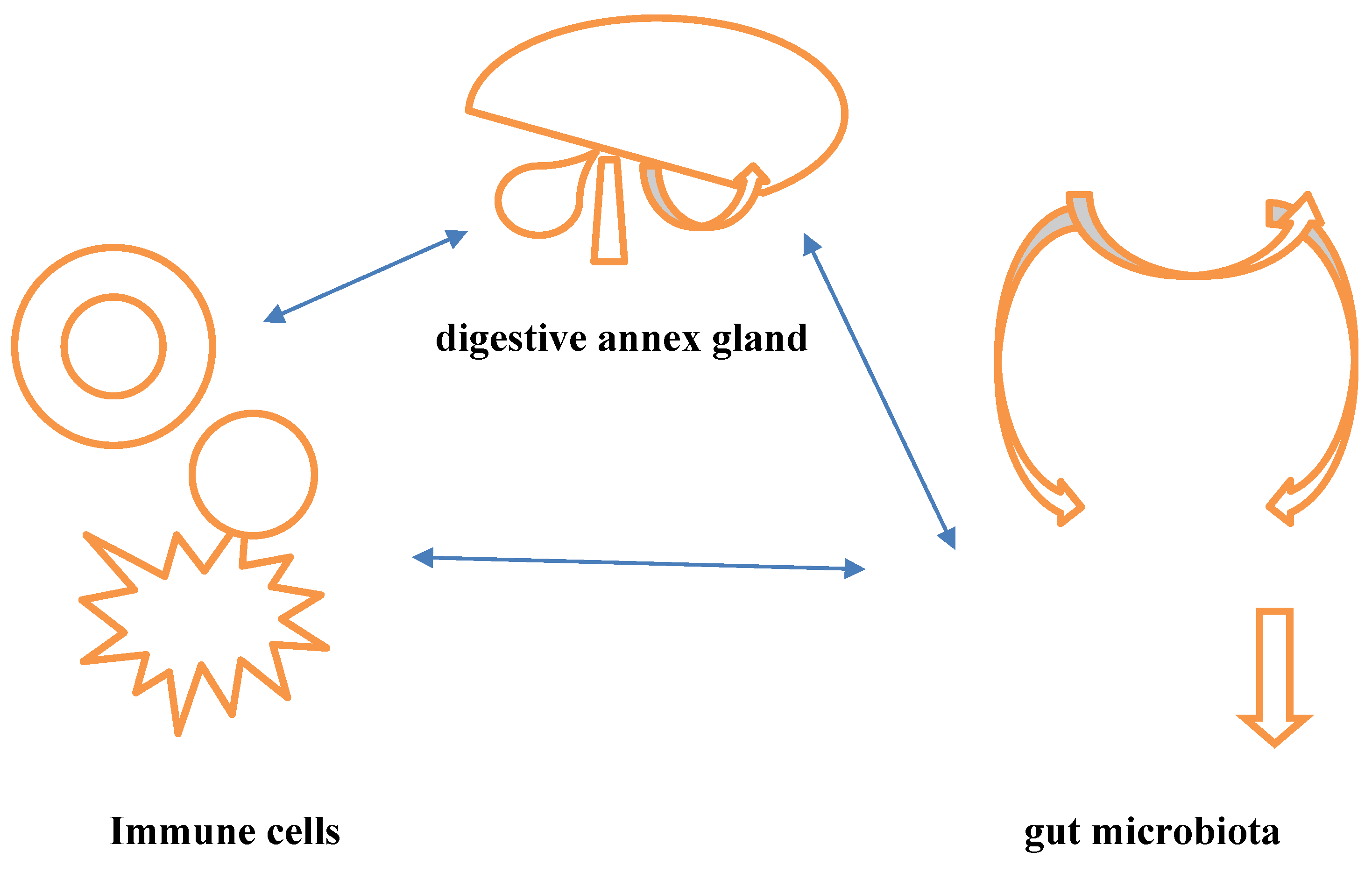Preprints 191013 g001