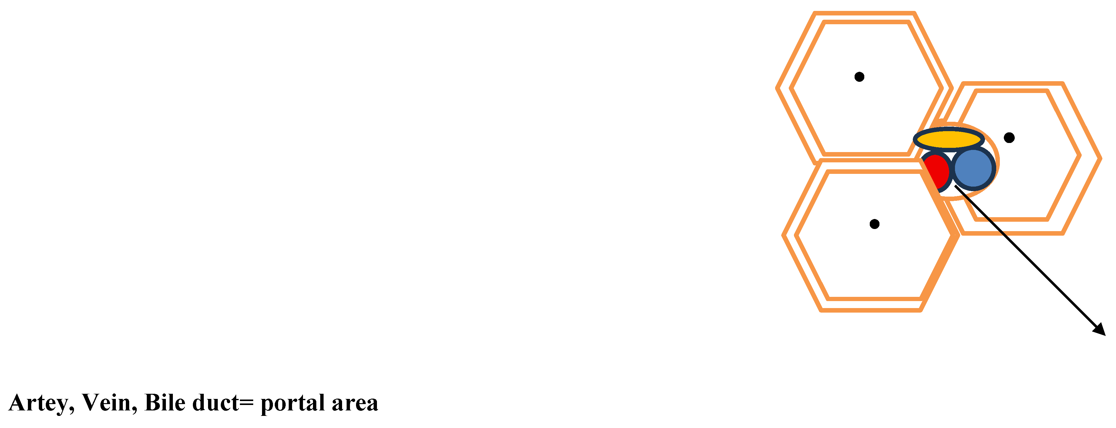 Preprints 191013 g002