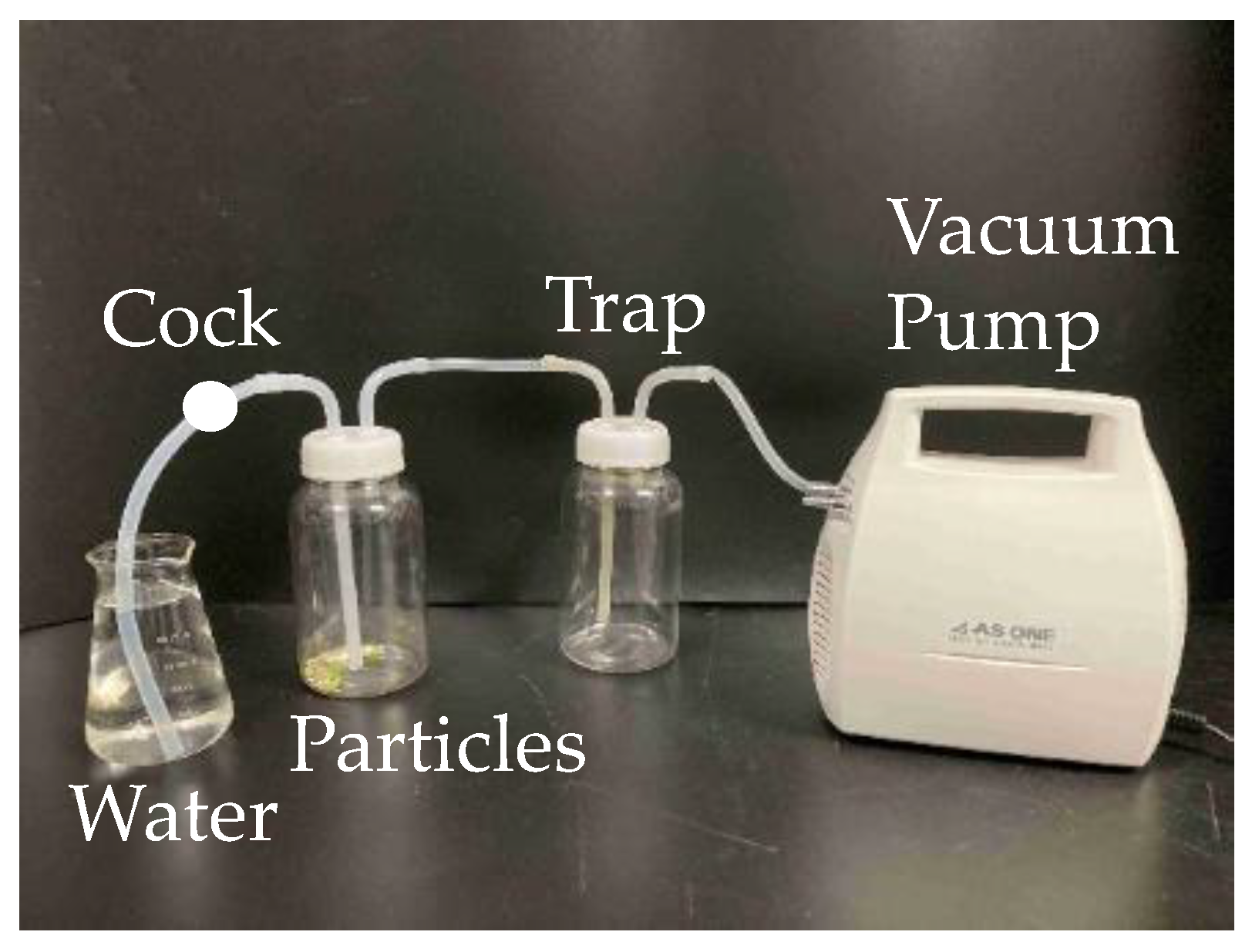 Preprints 154375 g006