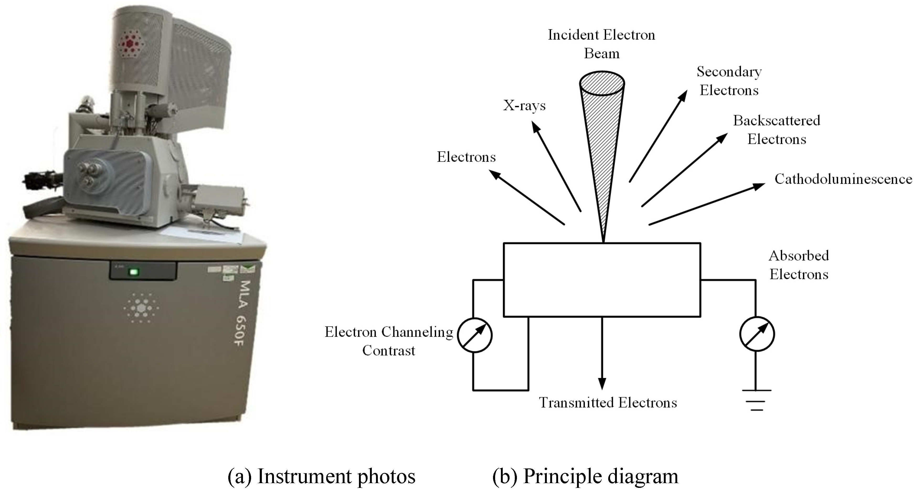 Preprints 159434 g004