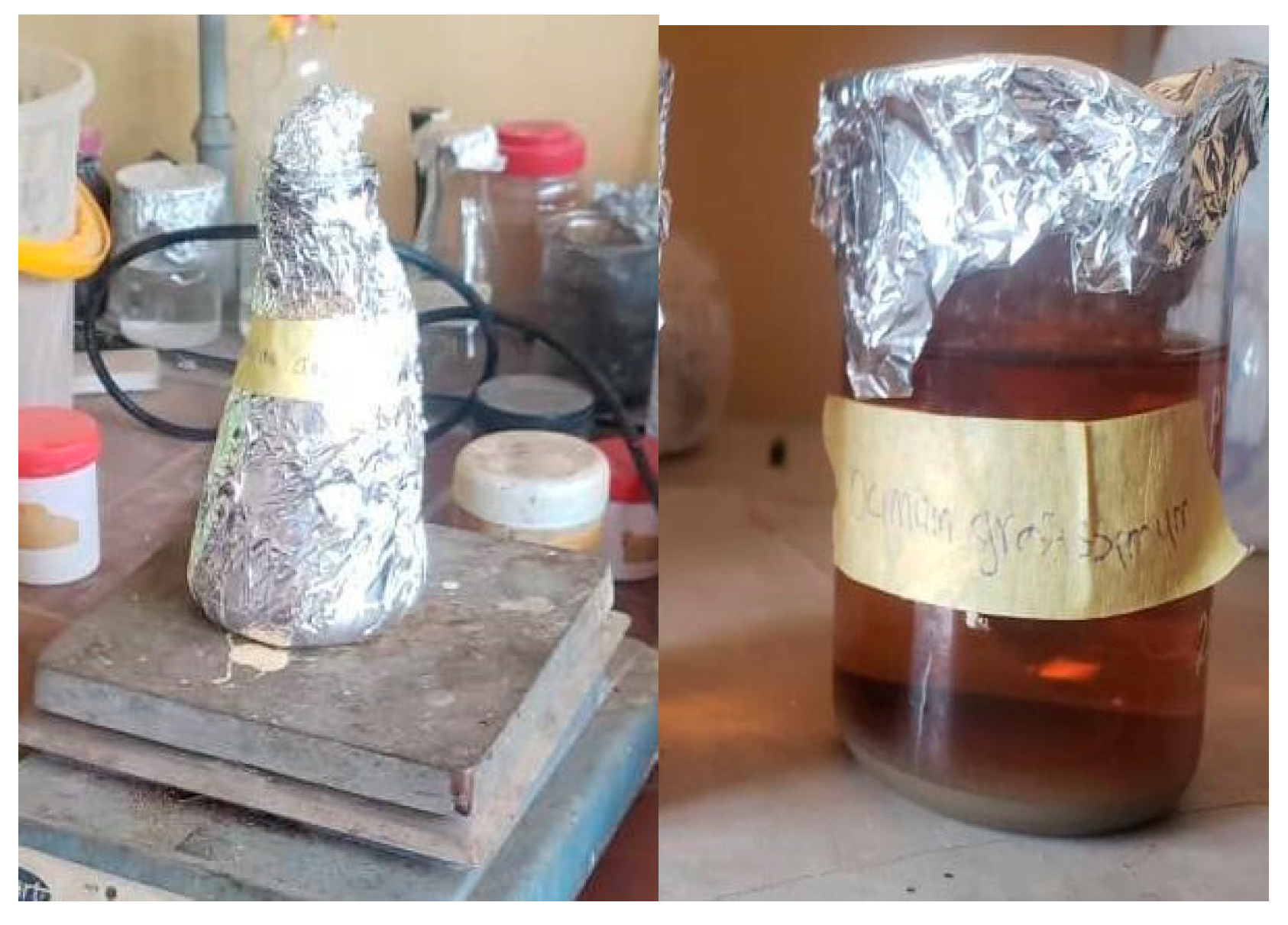 Preprints 92143 g002