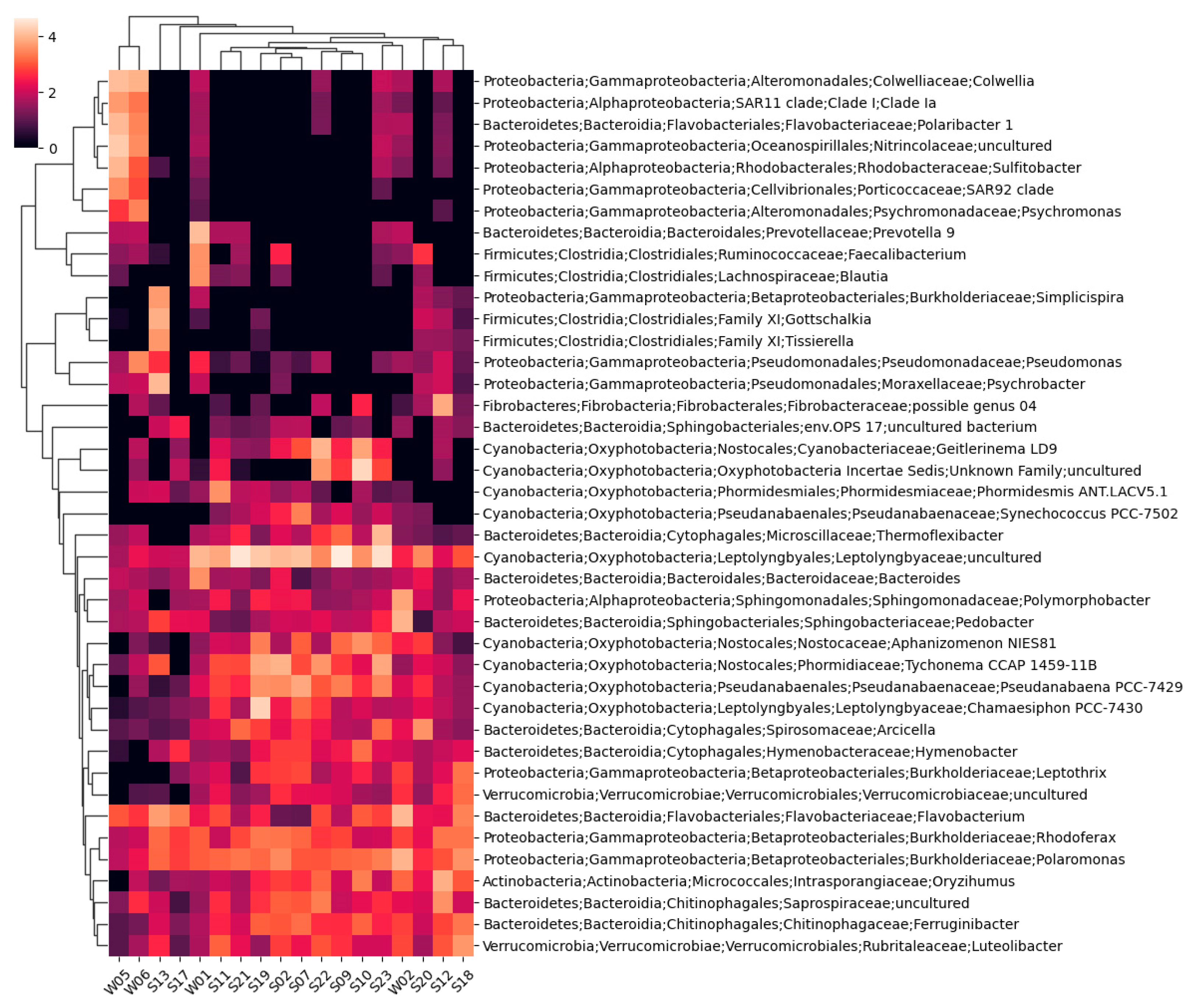 Preprints 96453 g003