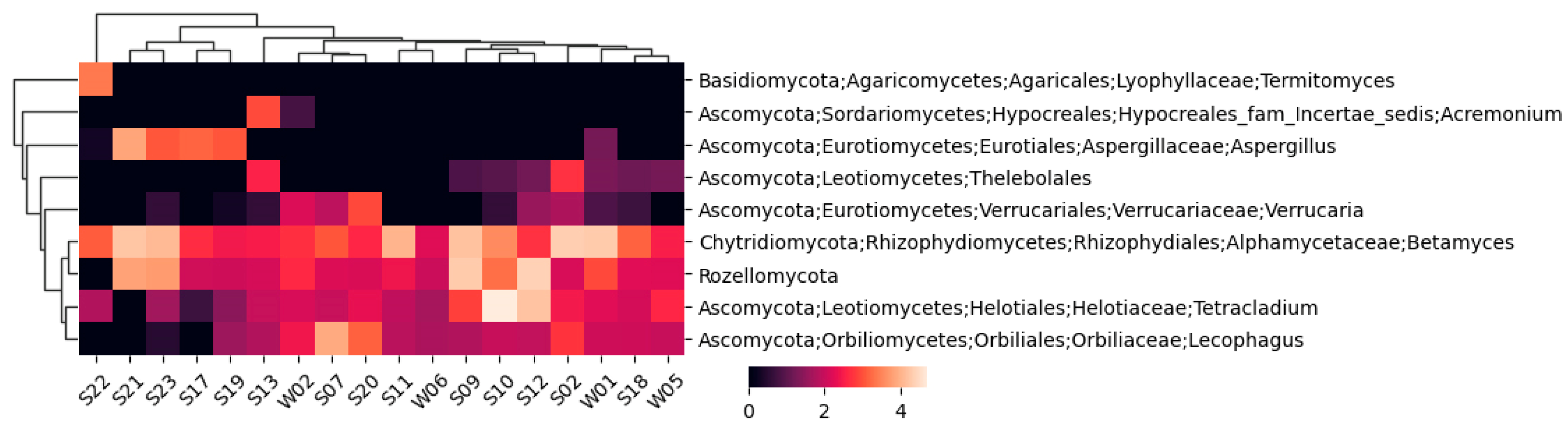 Preprints 96453 g004