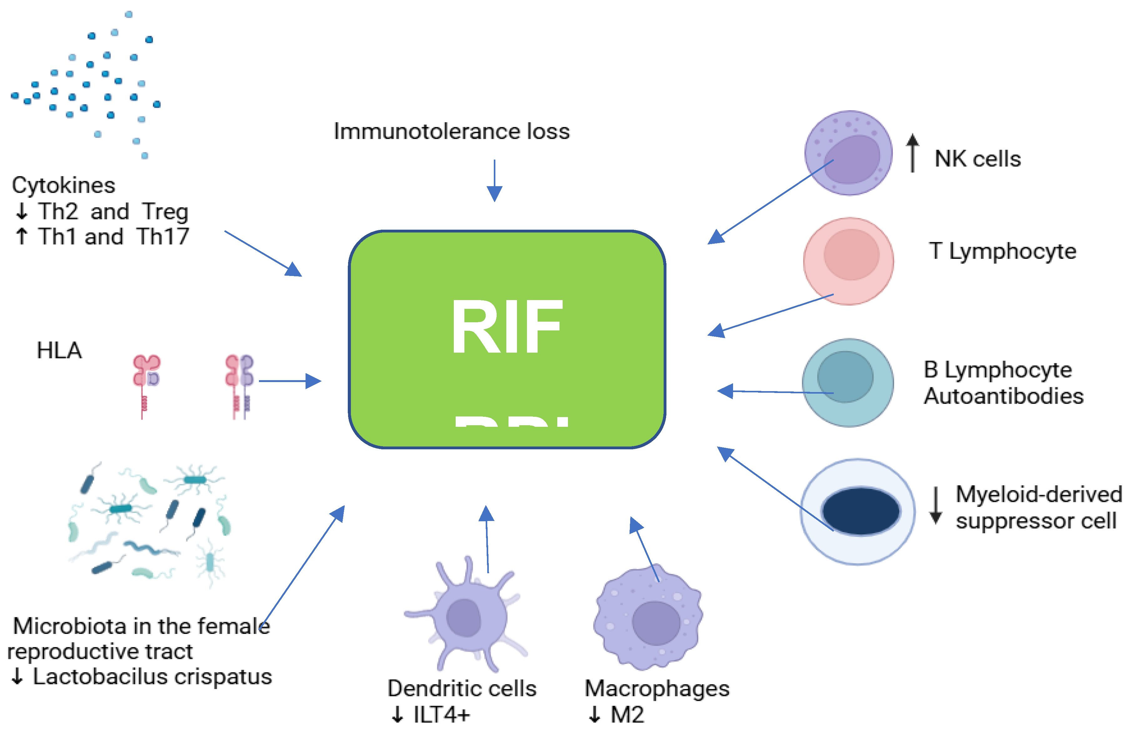 Preprints 144754 i001