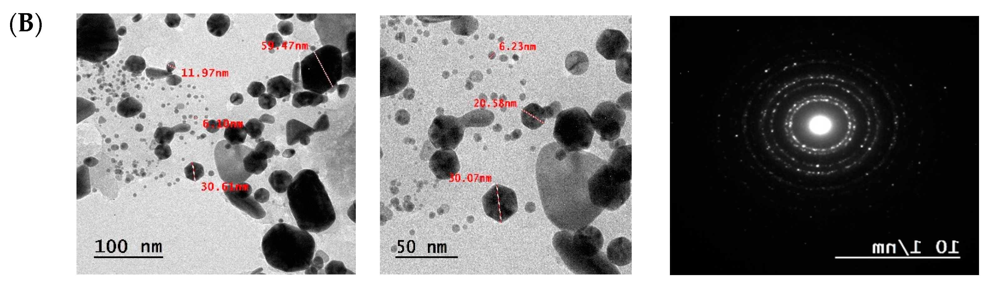 Preprints 150735 g007b