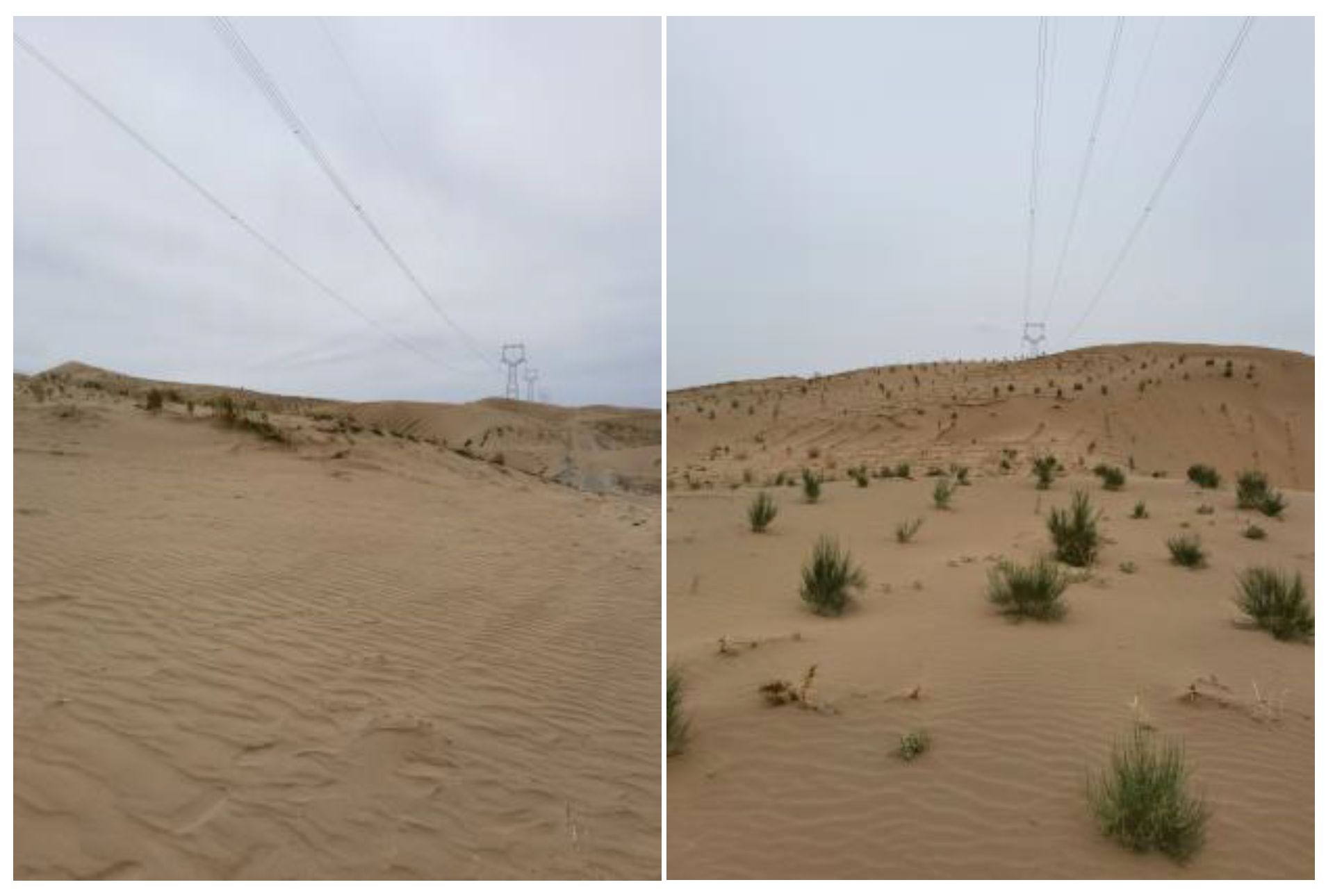 Preprints 164886 g001