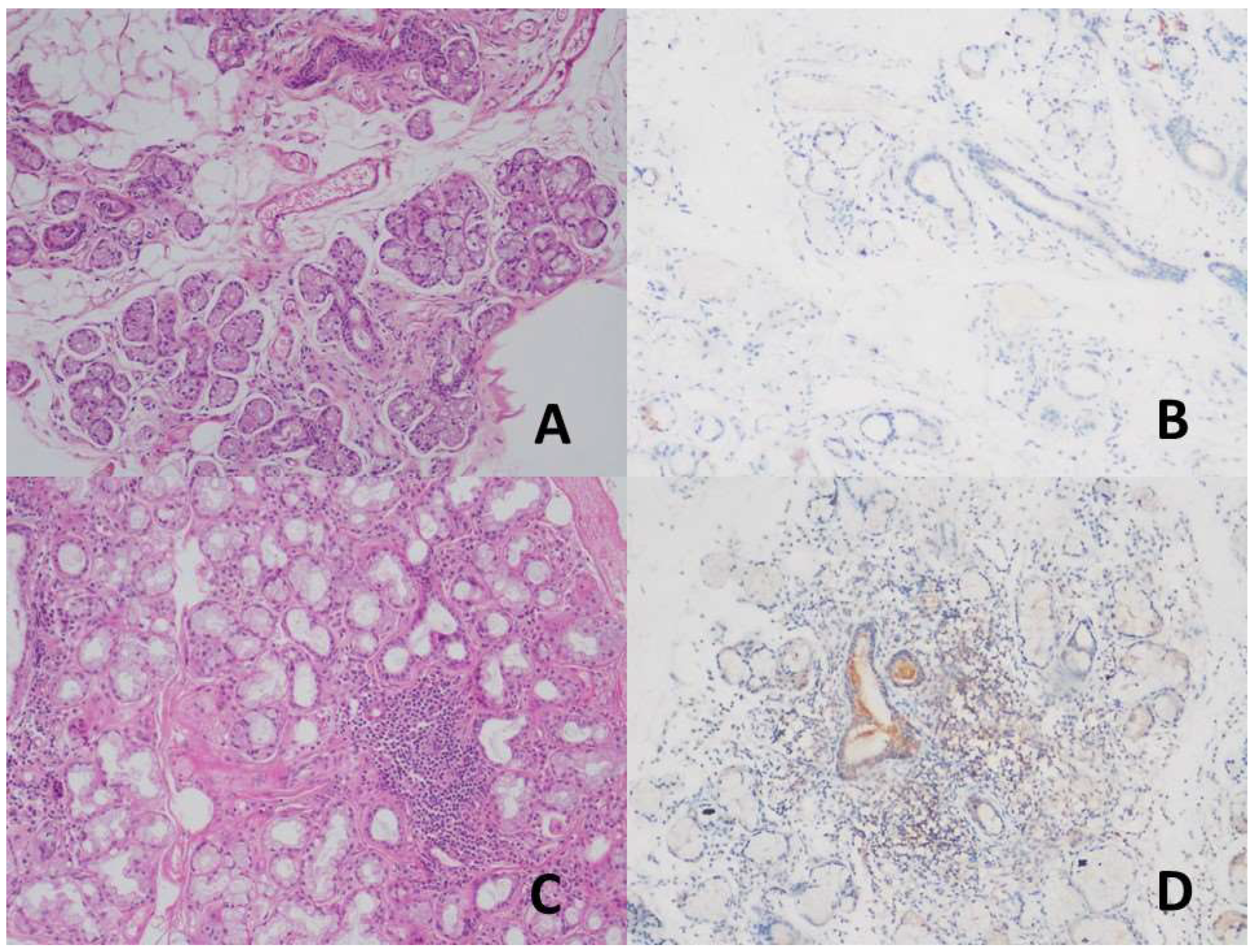 Preprints 149011 g001