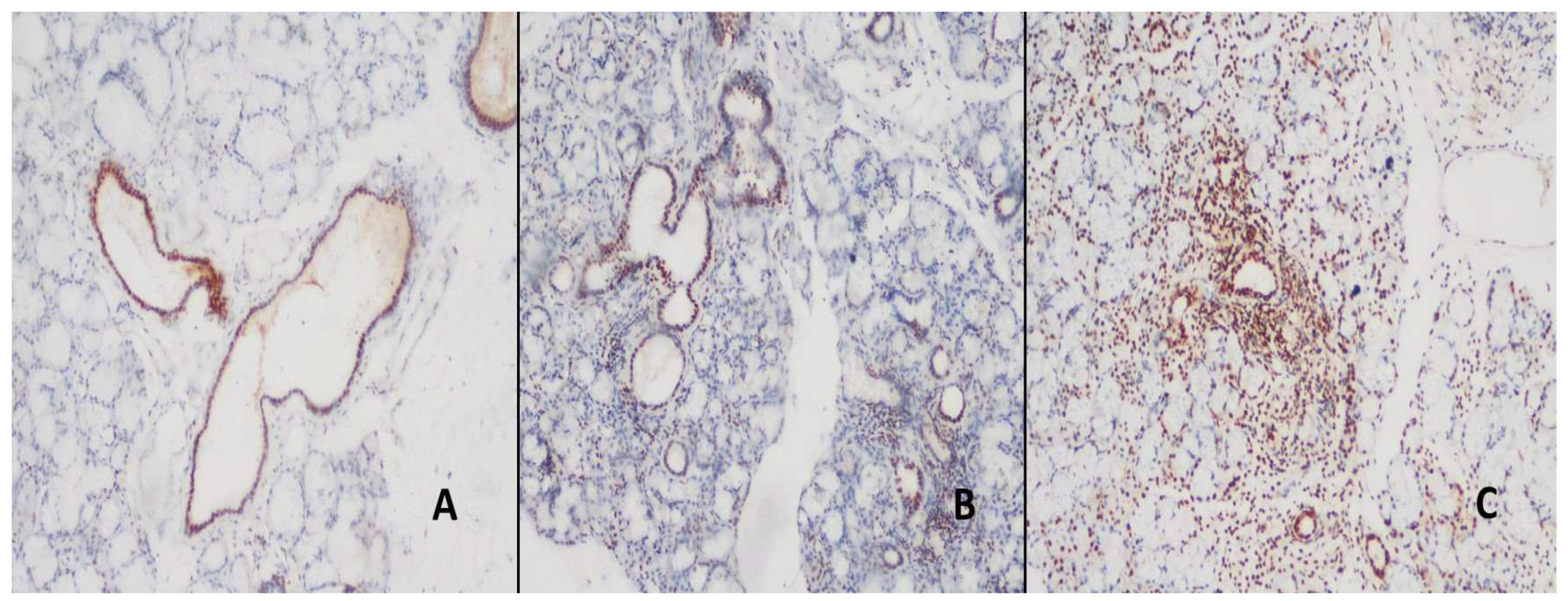Preprints 149011 g002