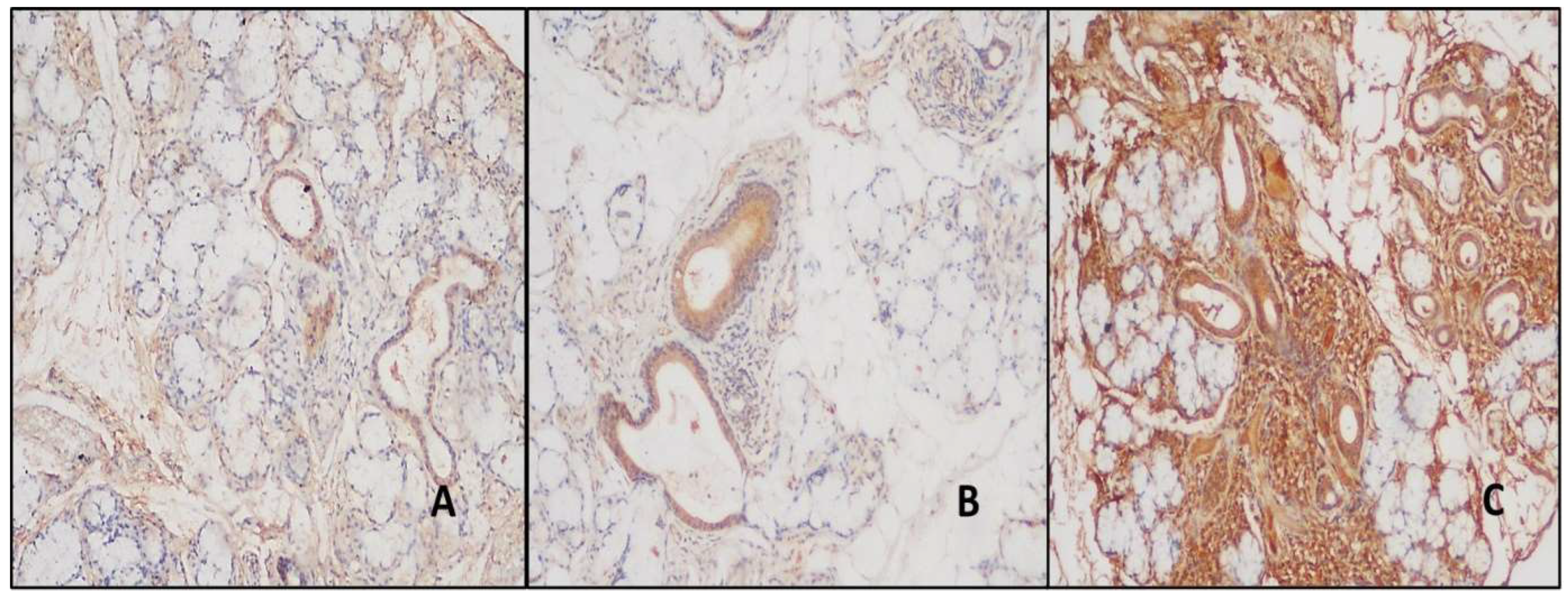 Preprints 149011 g003