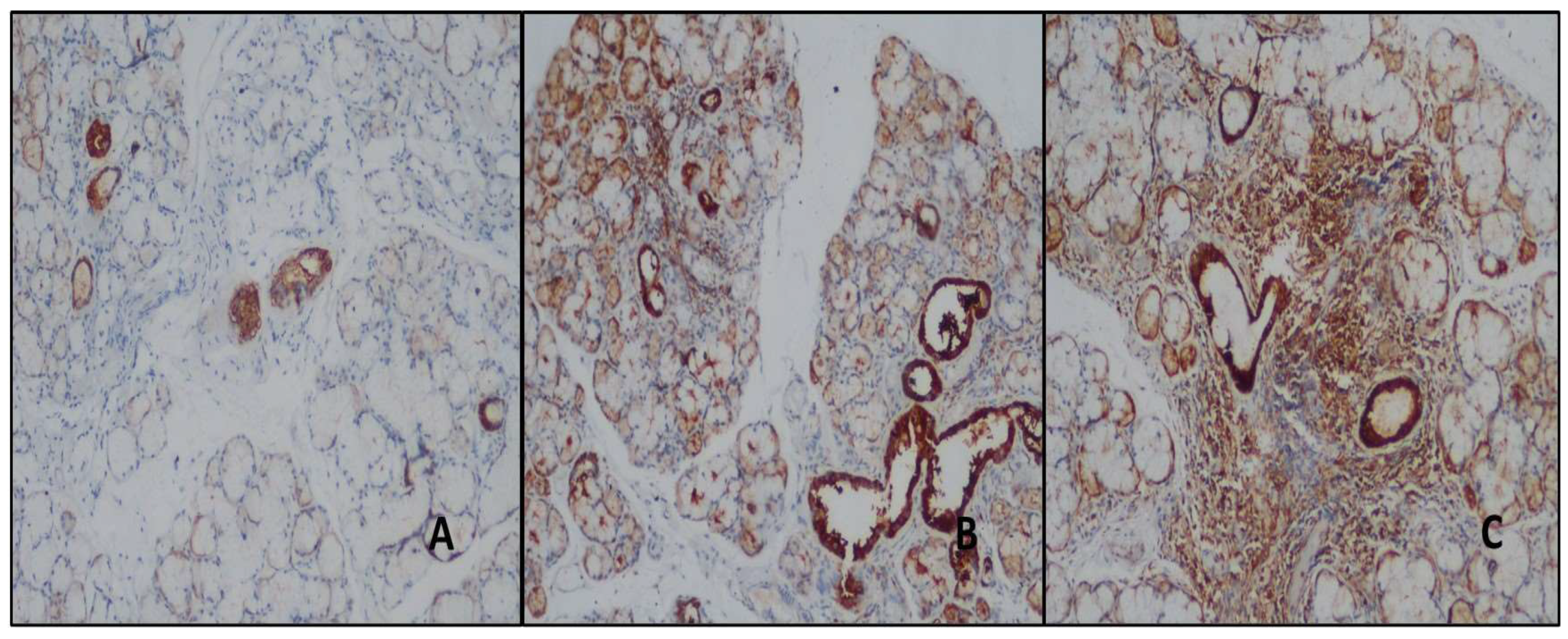 Preprints 149011 g004