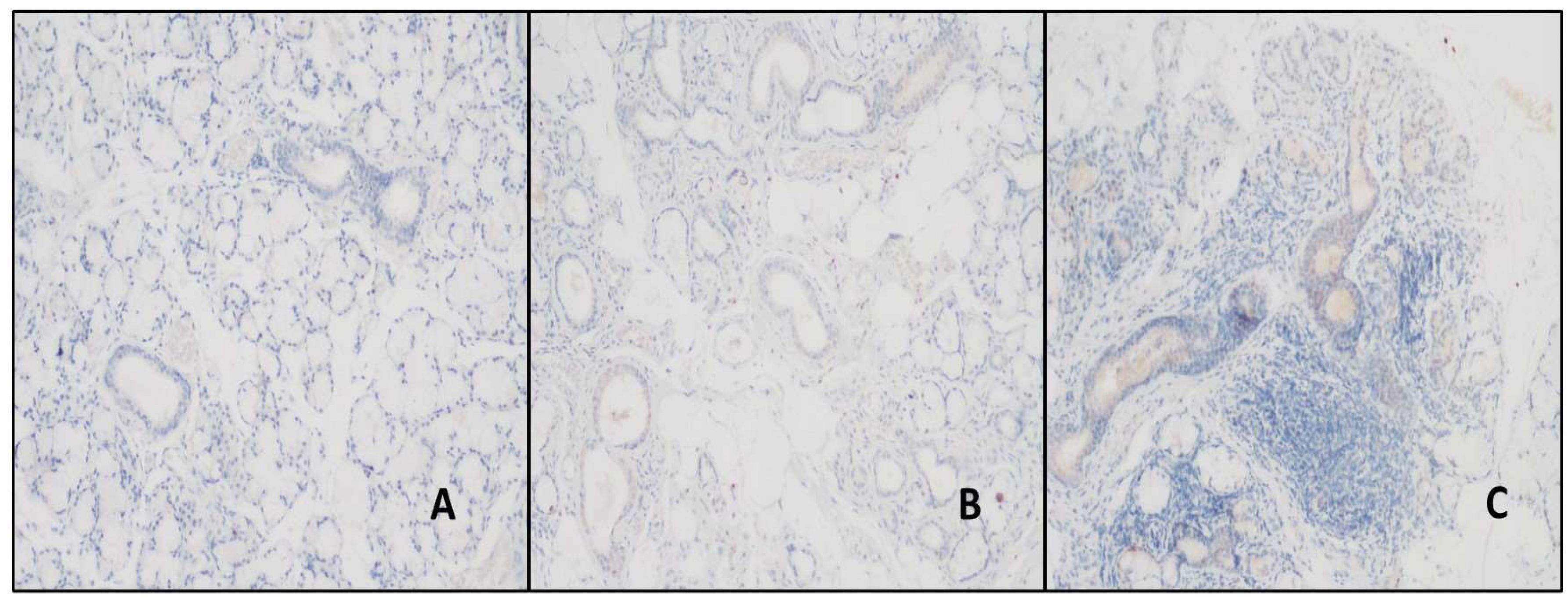 Preprints 149011 g005