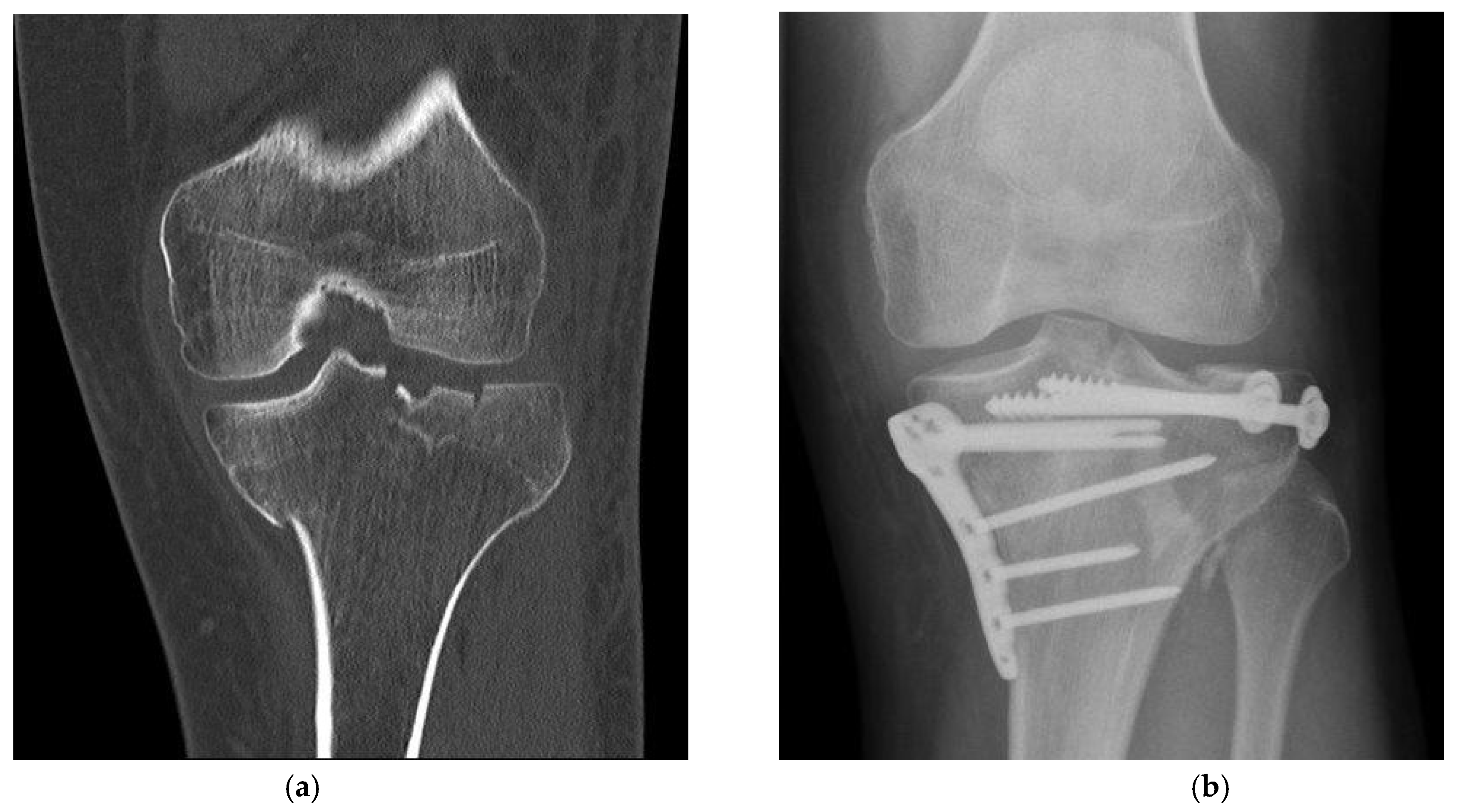 Preprints 67384 g002