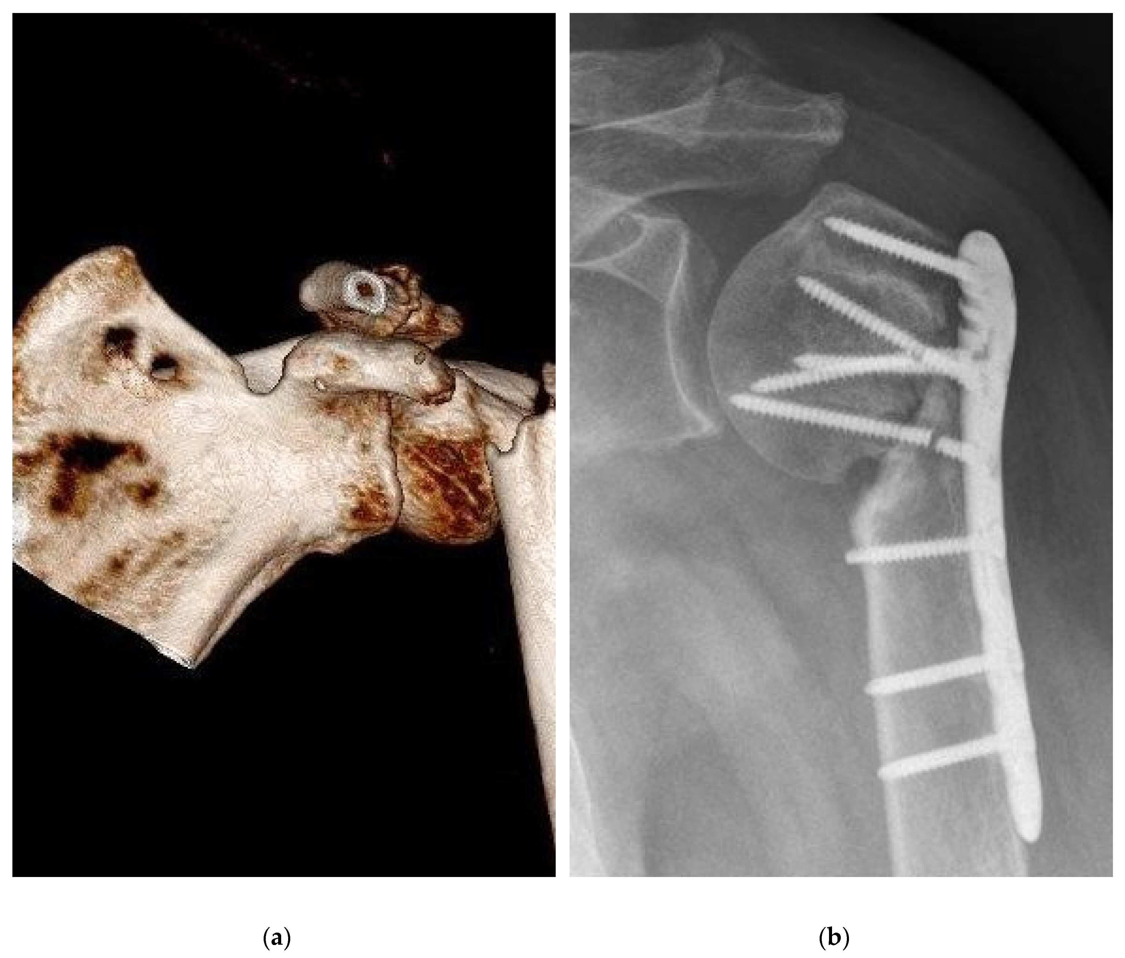 Preprints 67384 g003