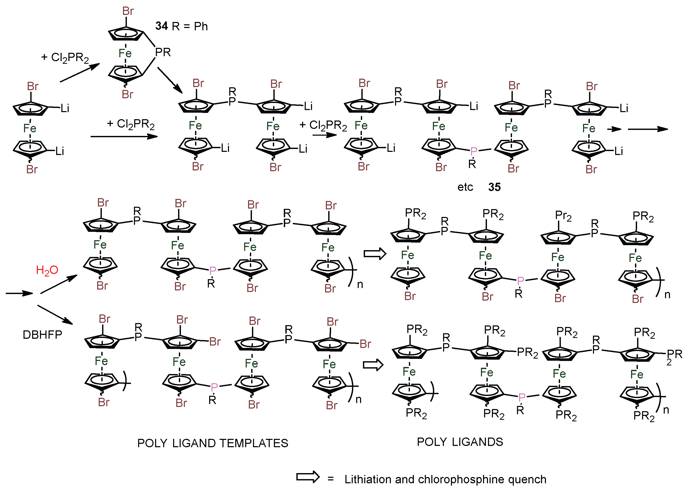 Preprints 142985 g020