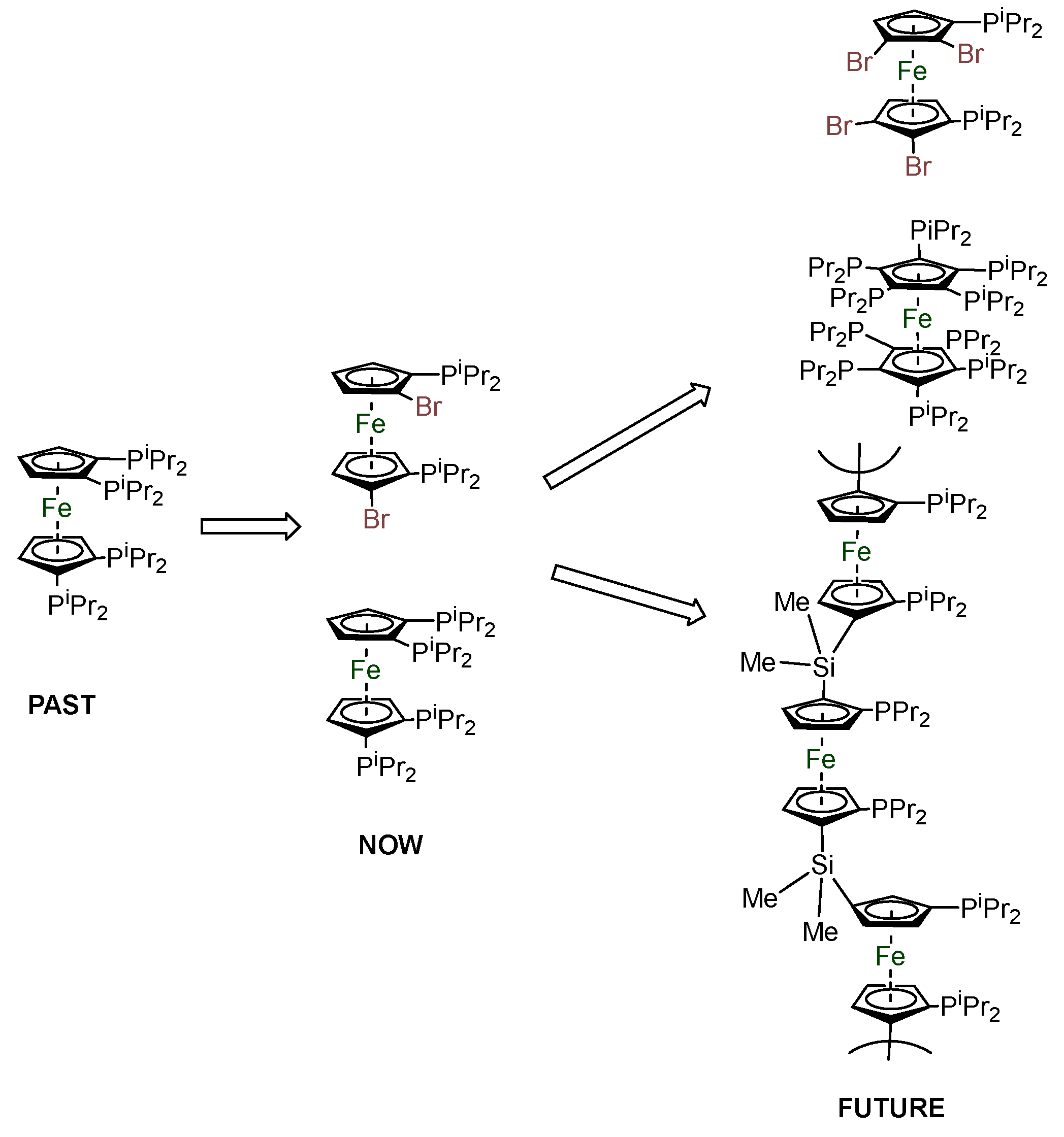 Preprints 142985 g021