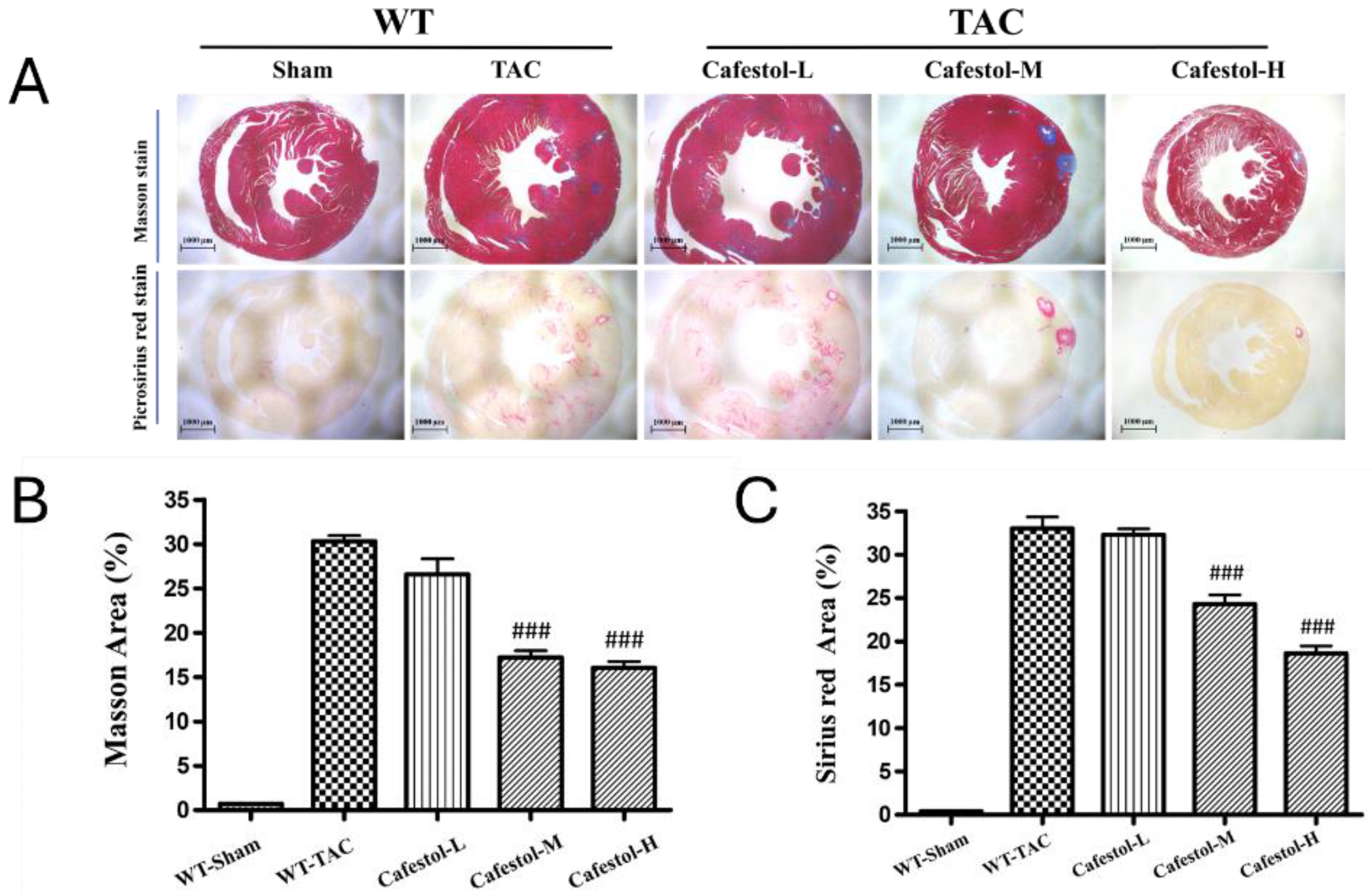 Preprints 182043 g003