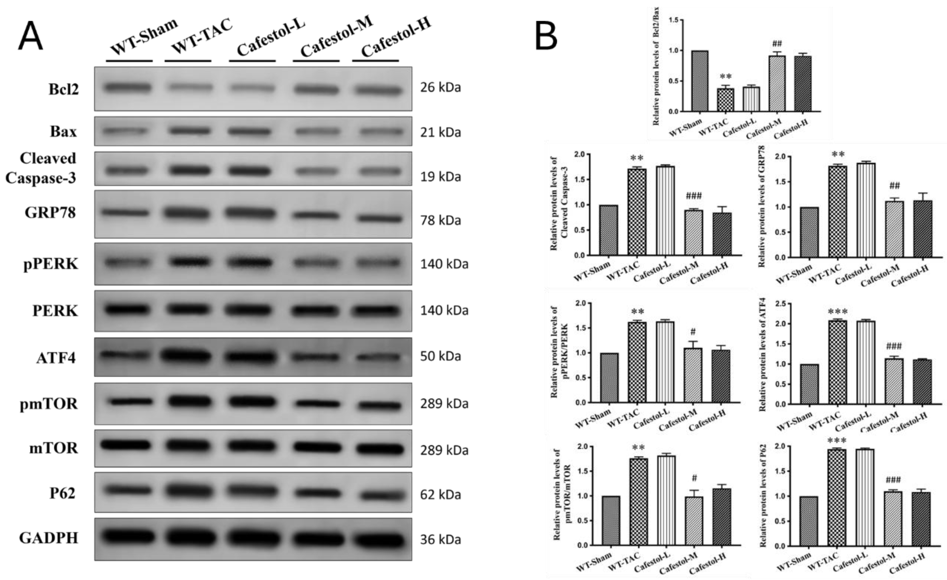 Preprints 182043 g005