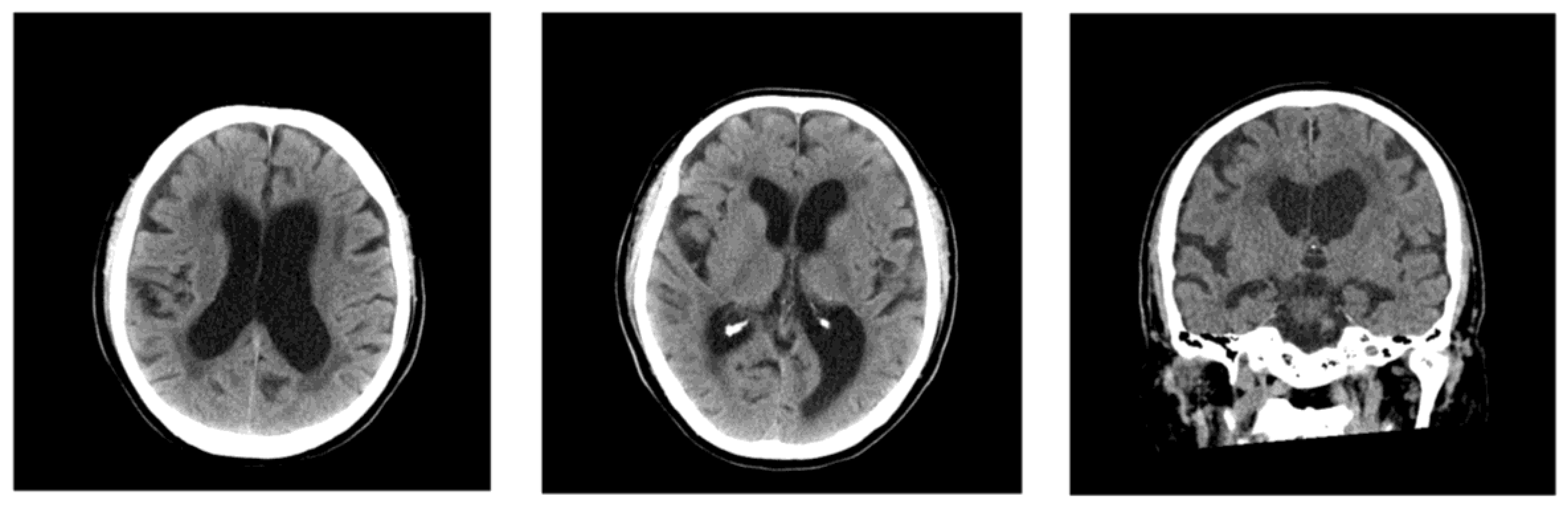 Preprints 157058 g001