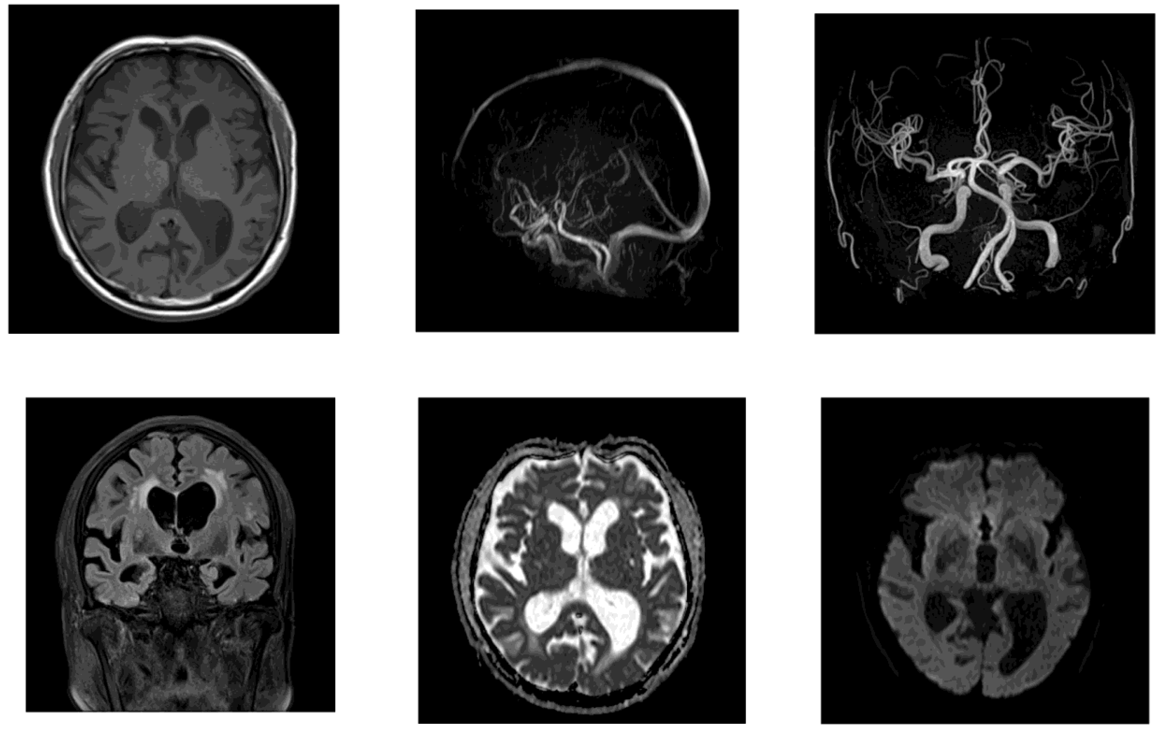 Preprints 157058 g002