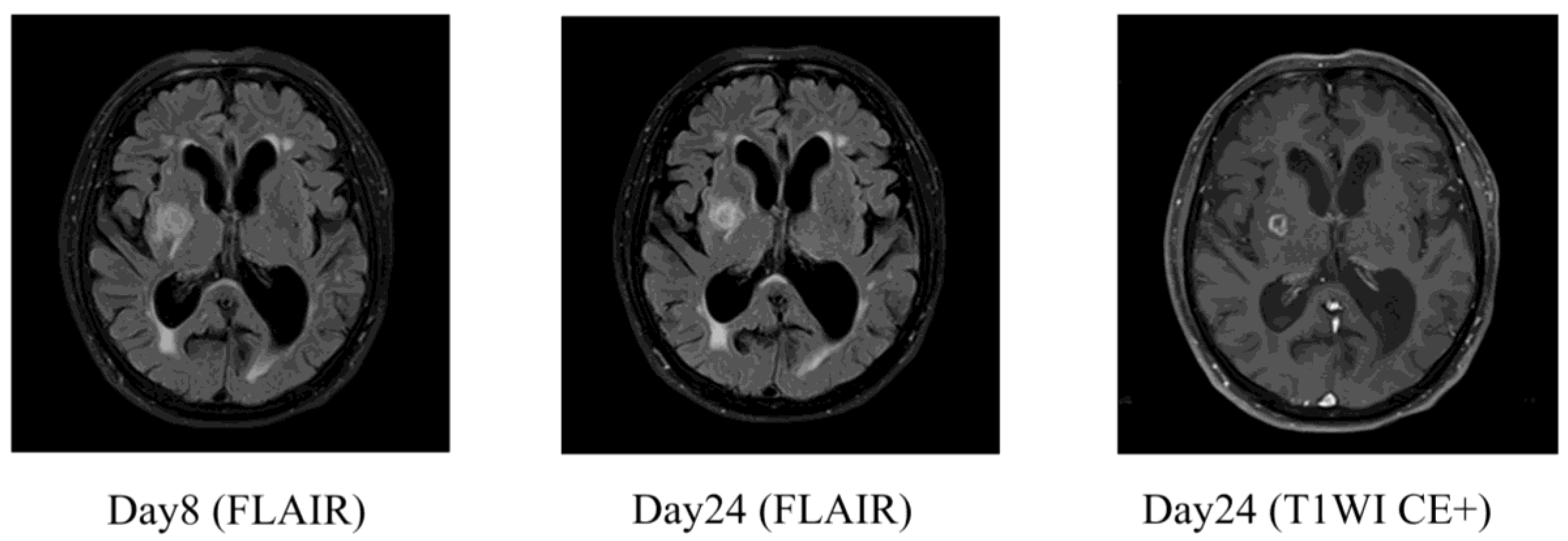 Preprints 157058 g003