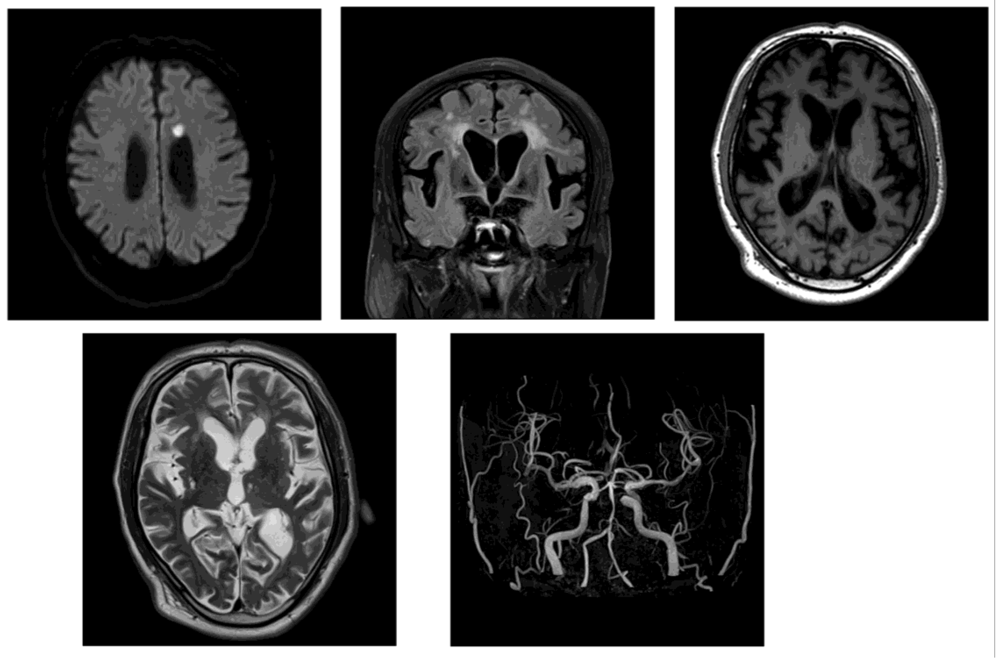 Preprints 157058 g004