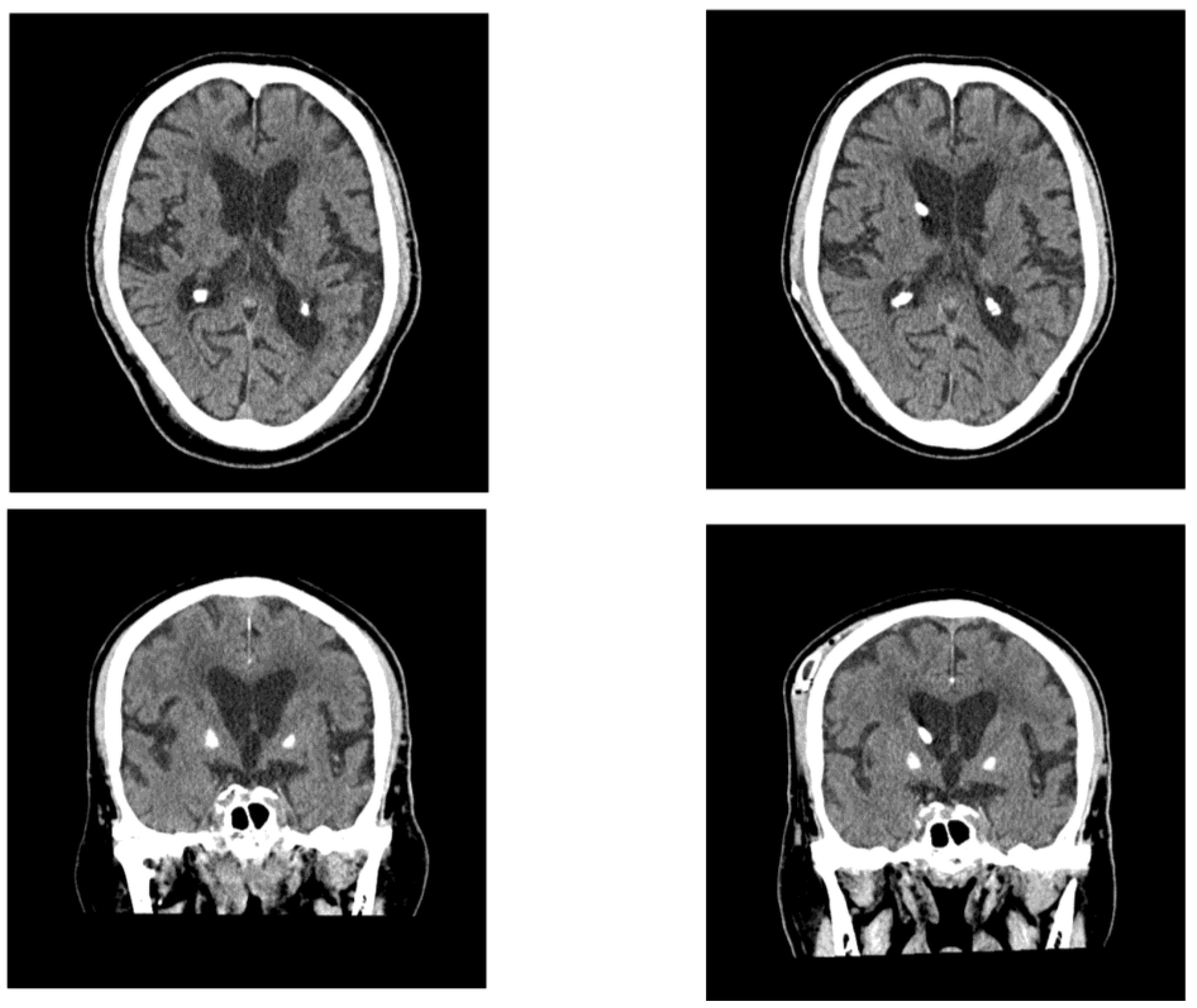 Preprints 157058 g005