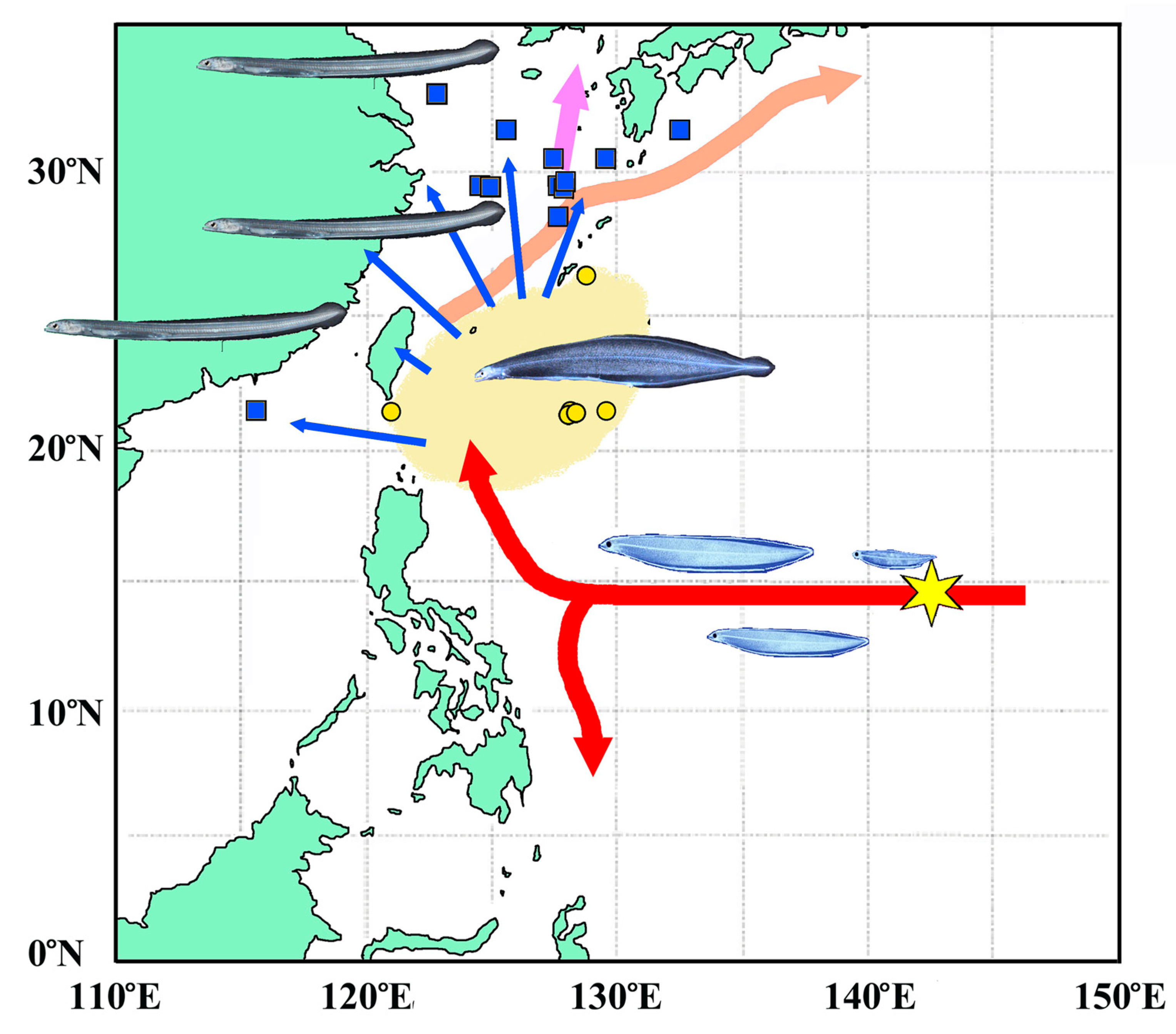 Preprints 89229 g001
