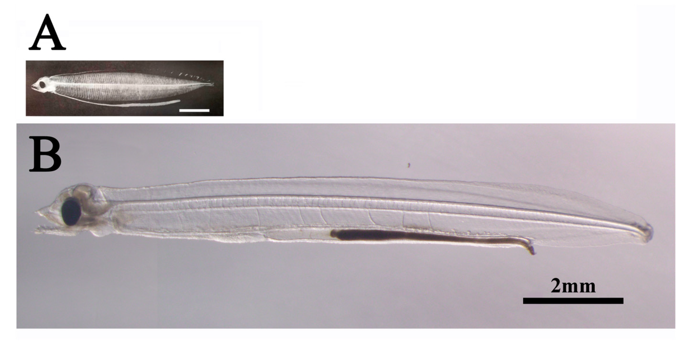 Preprints 89229 g005