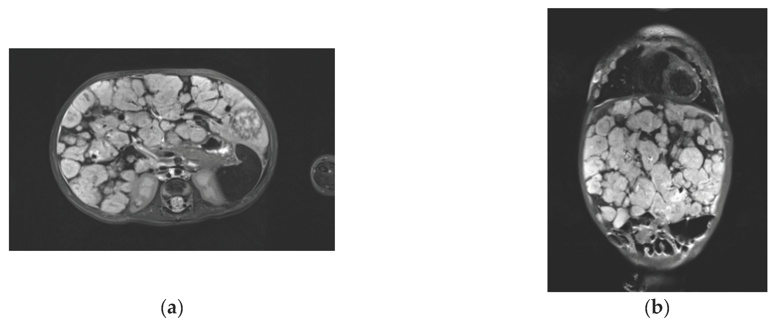 Preprints 199728 g001