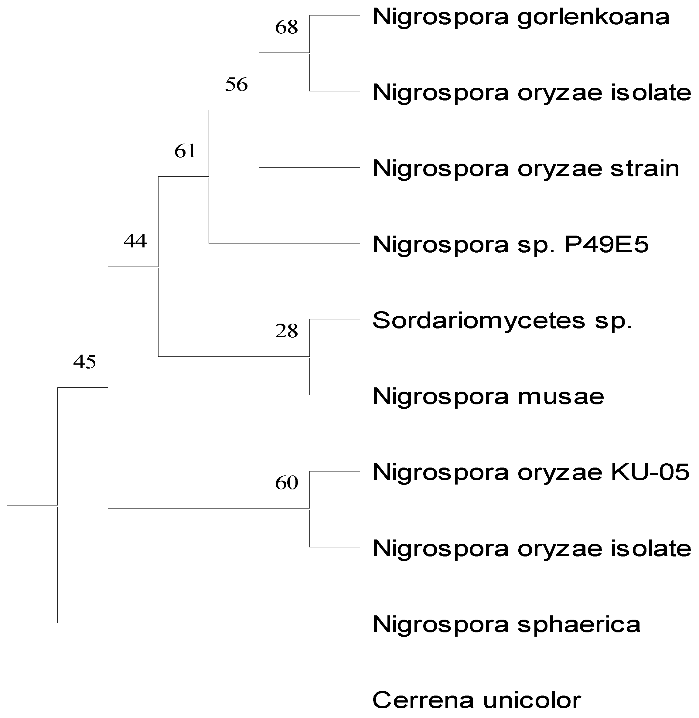 Preprints 156262 g002
