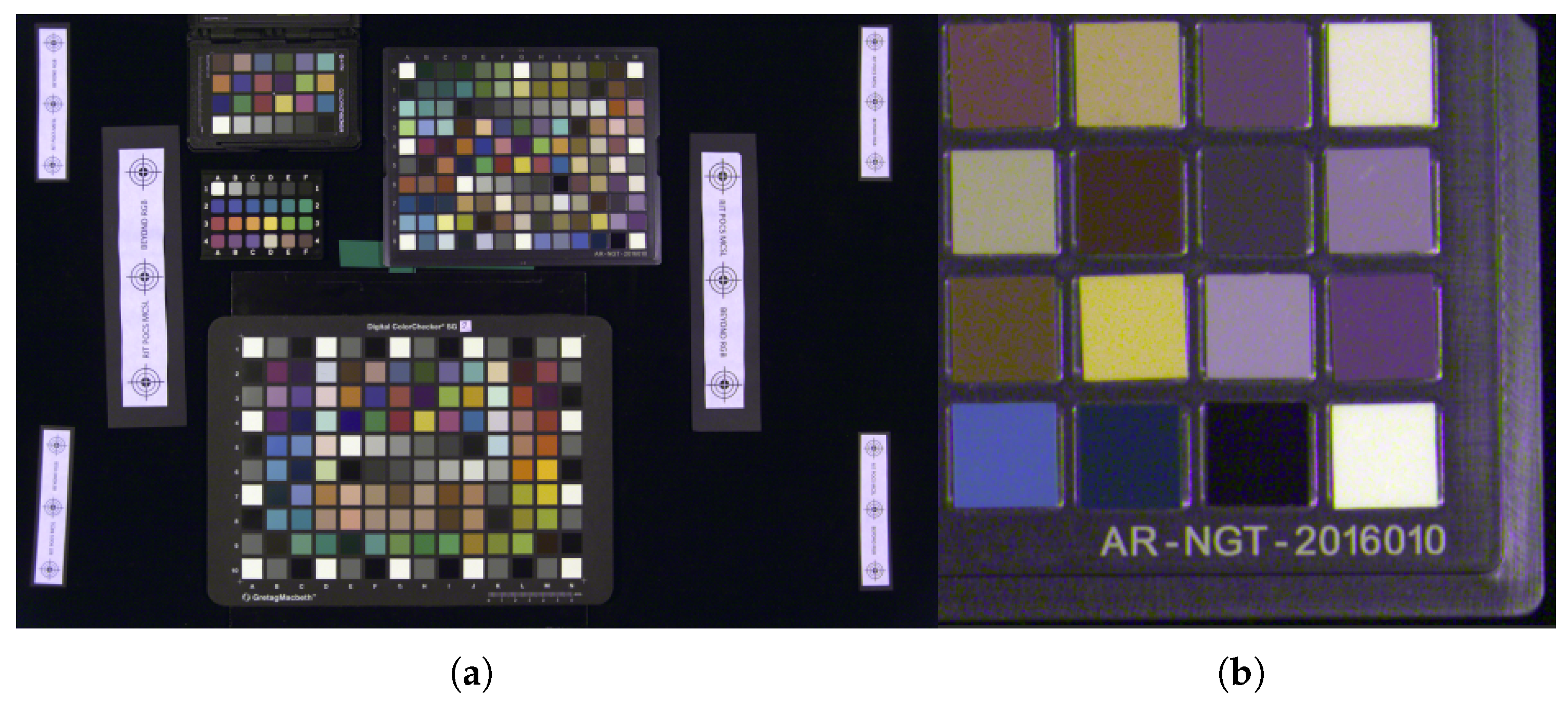 Preprints 174059 g009