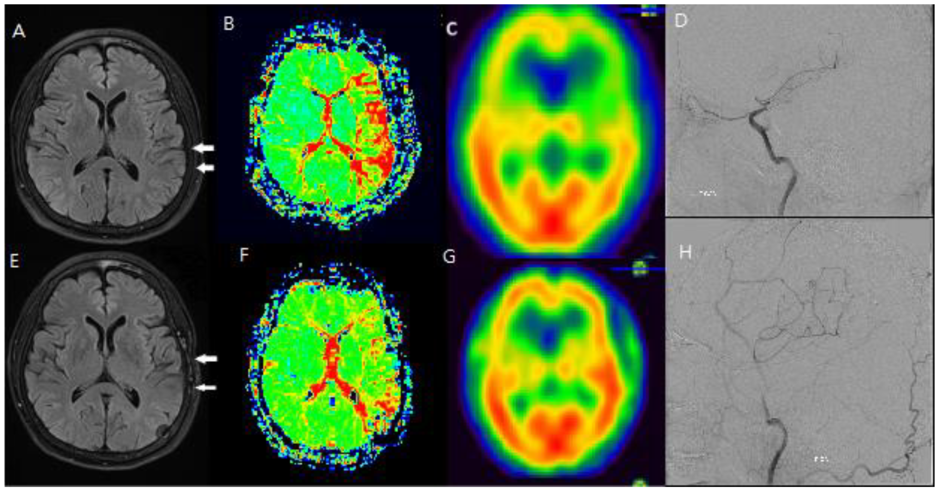 Preprints 156084 g003