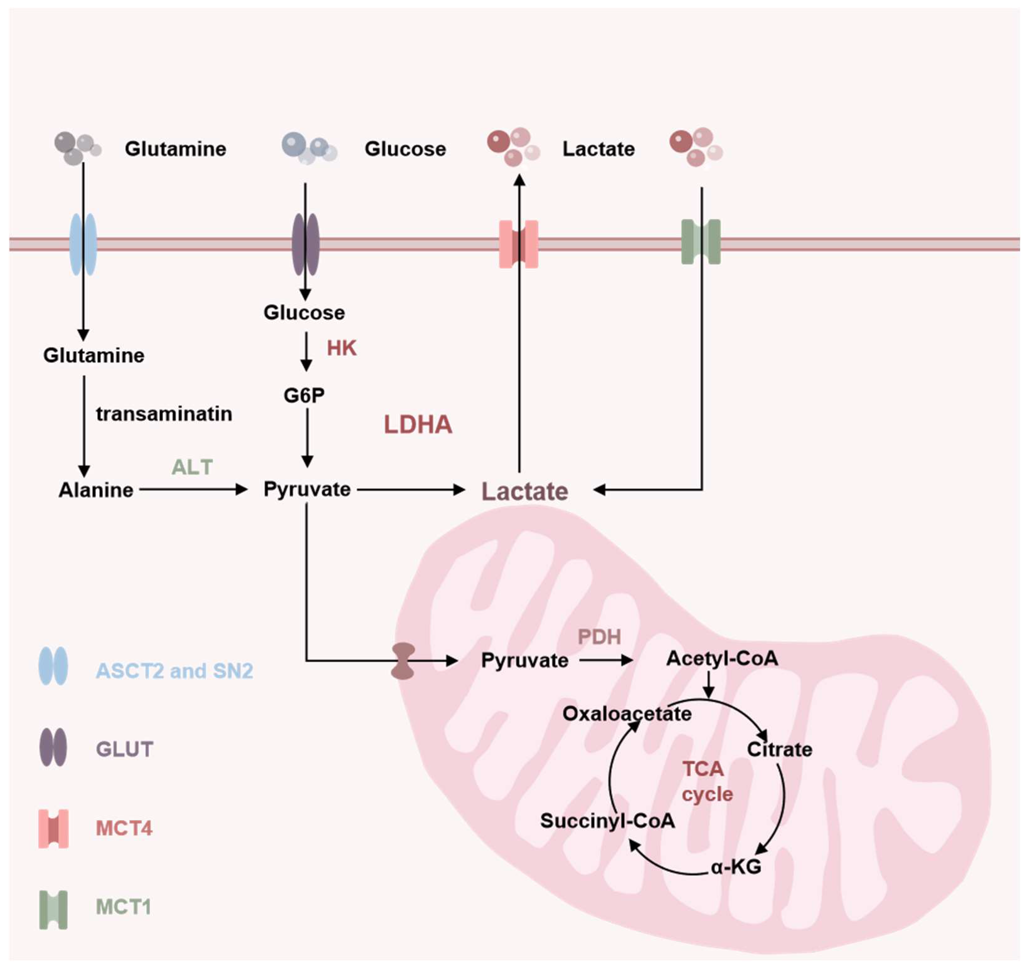 Preprints 121612 g001