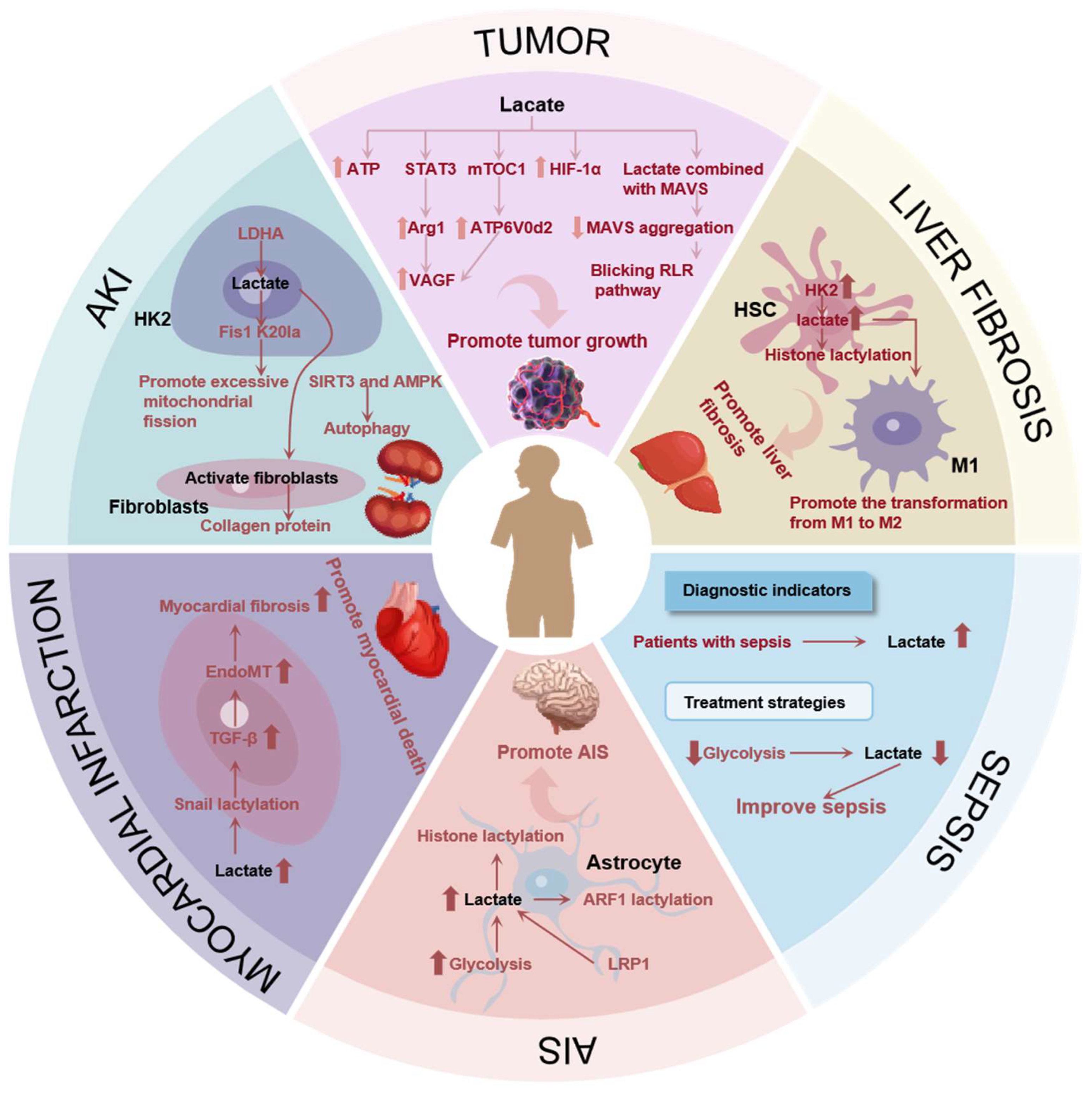 Preprints 121612 g003