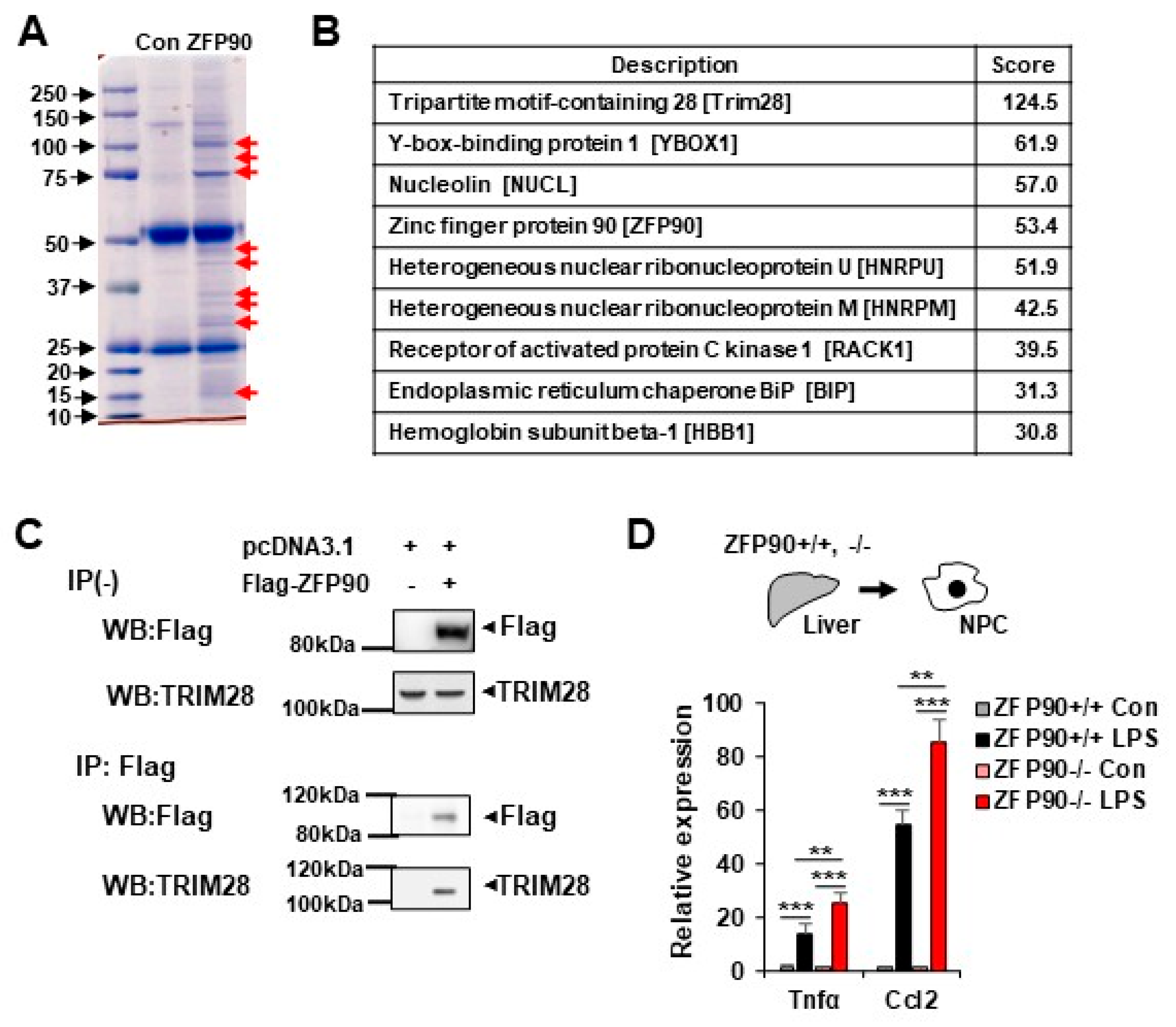 Preprints 219148 g004 Preprints 219148 g004