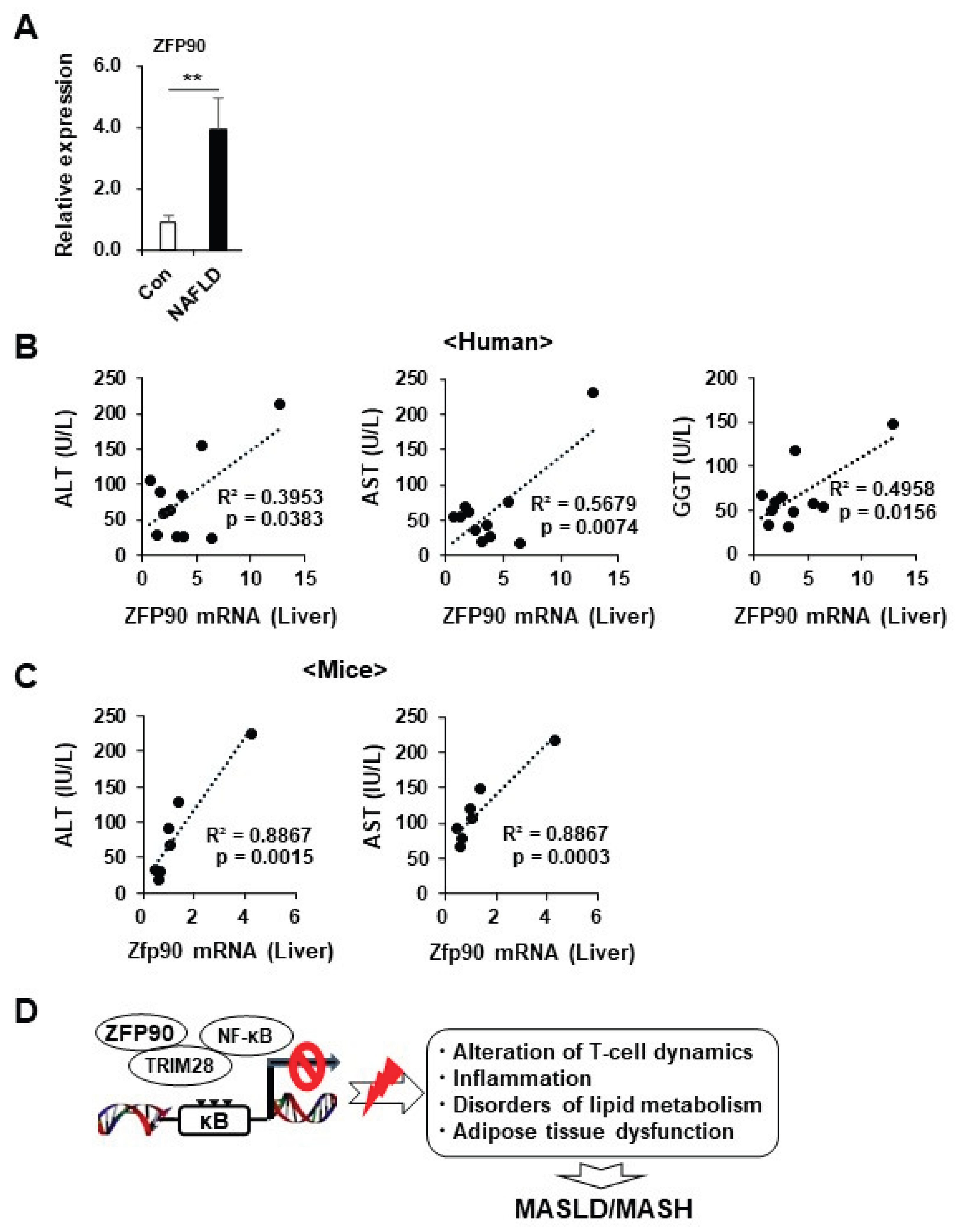Preprints 219148 g006 Preprints 219148 g006
