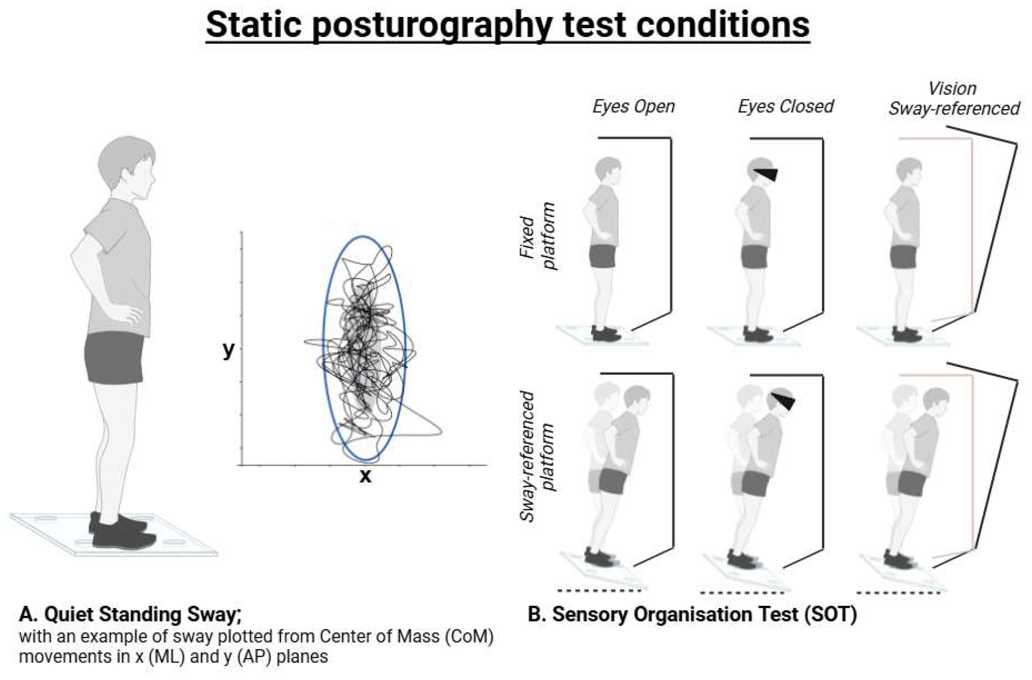 Preprints 154561 g002