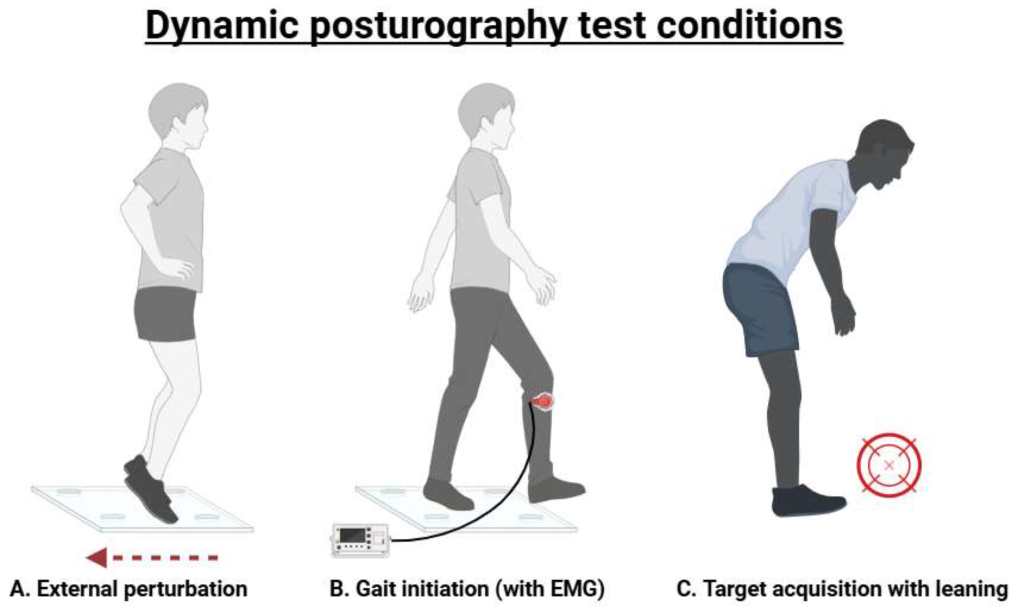 Preprints 154561 g003