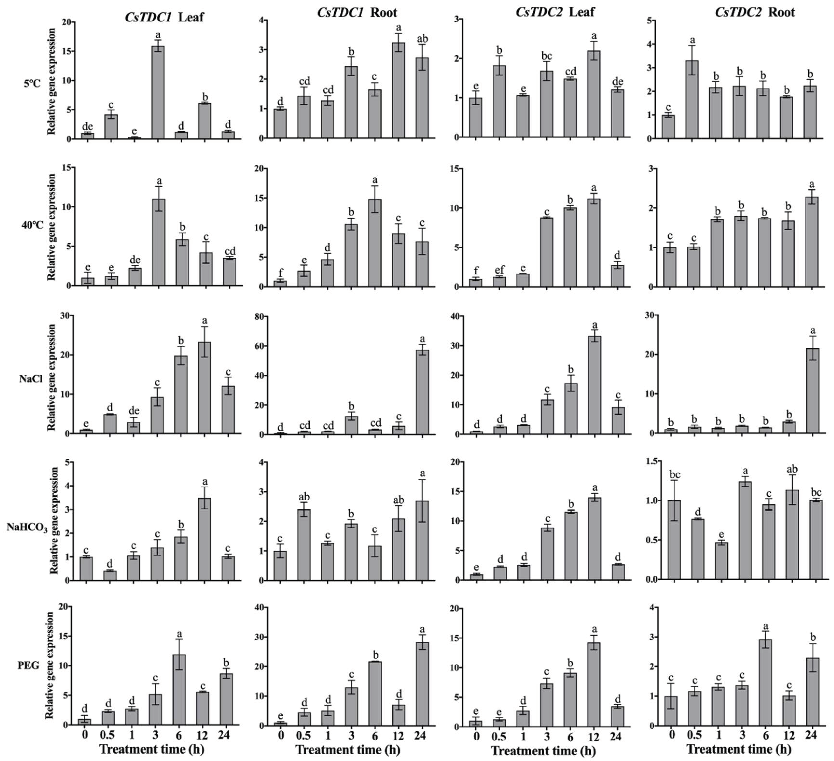 Preprints 99195 g002