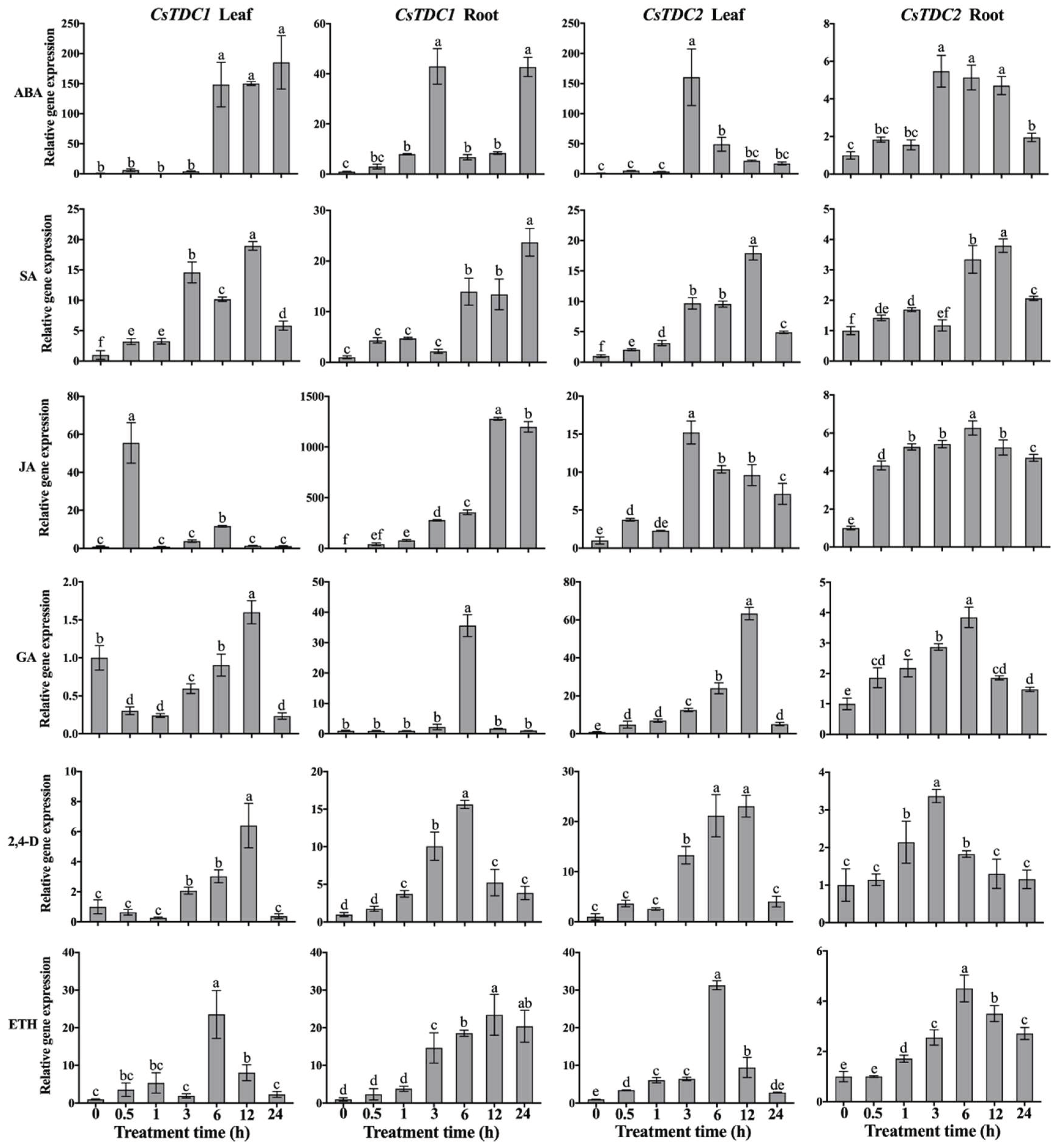 Preprints 99195 g003
