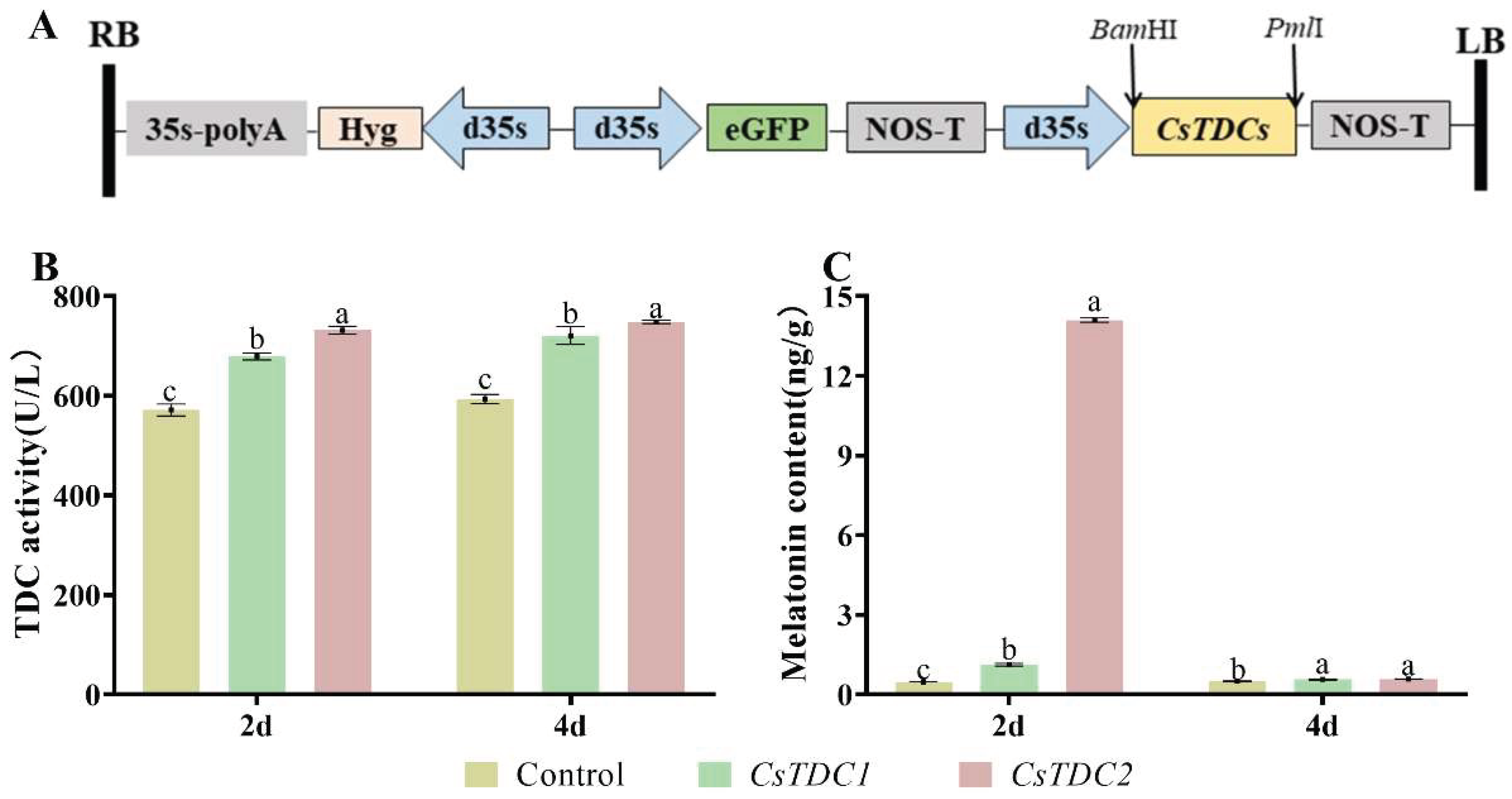 Preprints 99195 g005