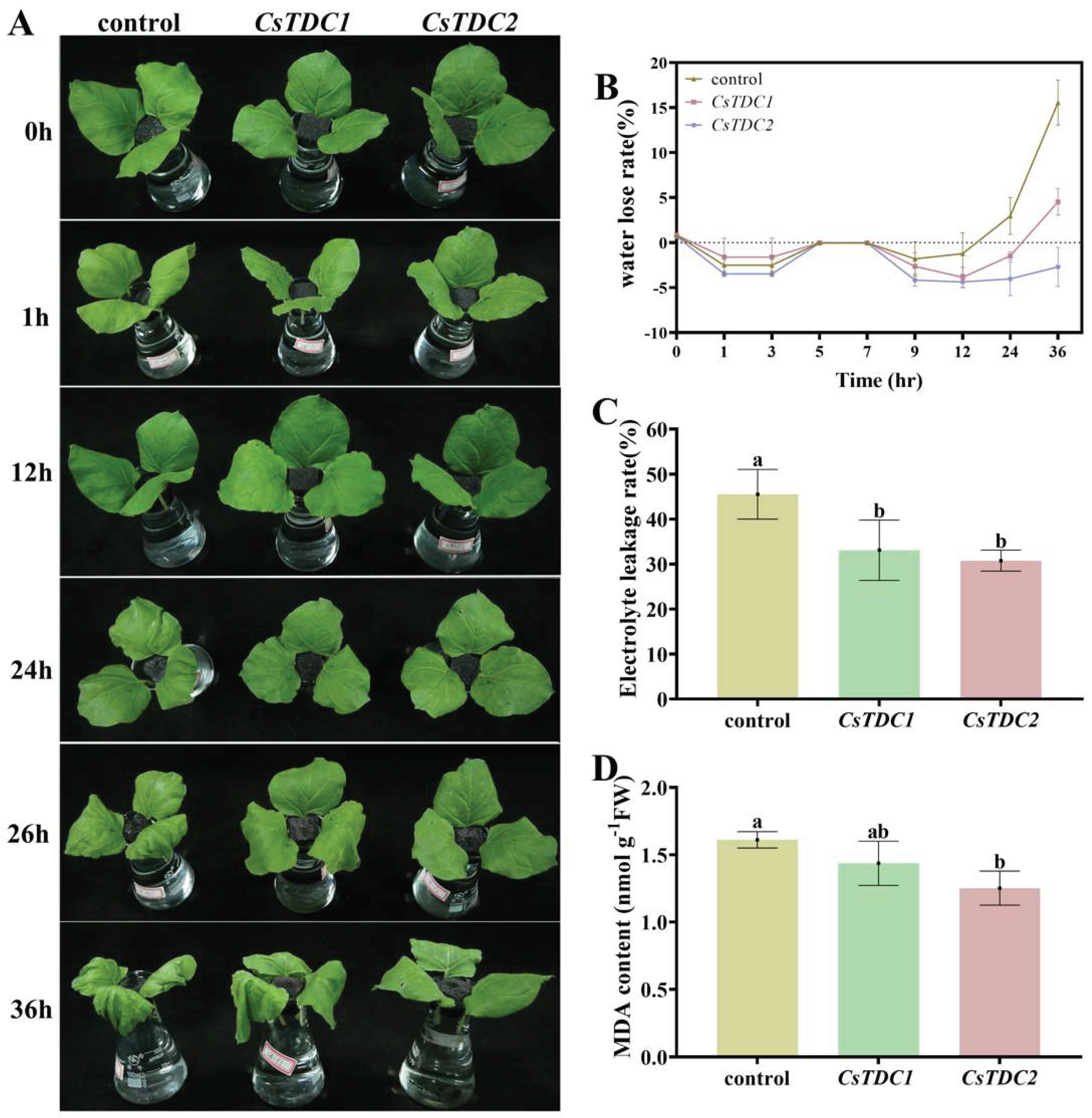 Preprints 99195 g006