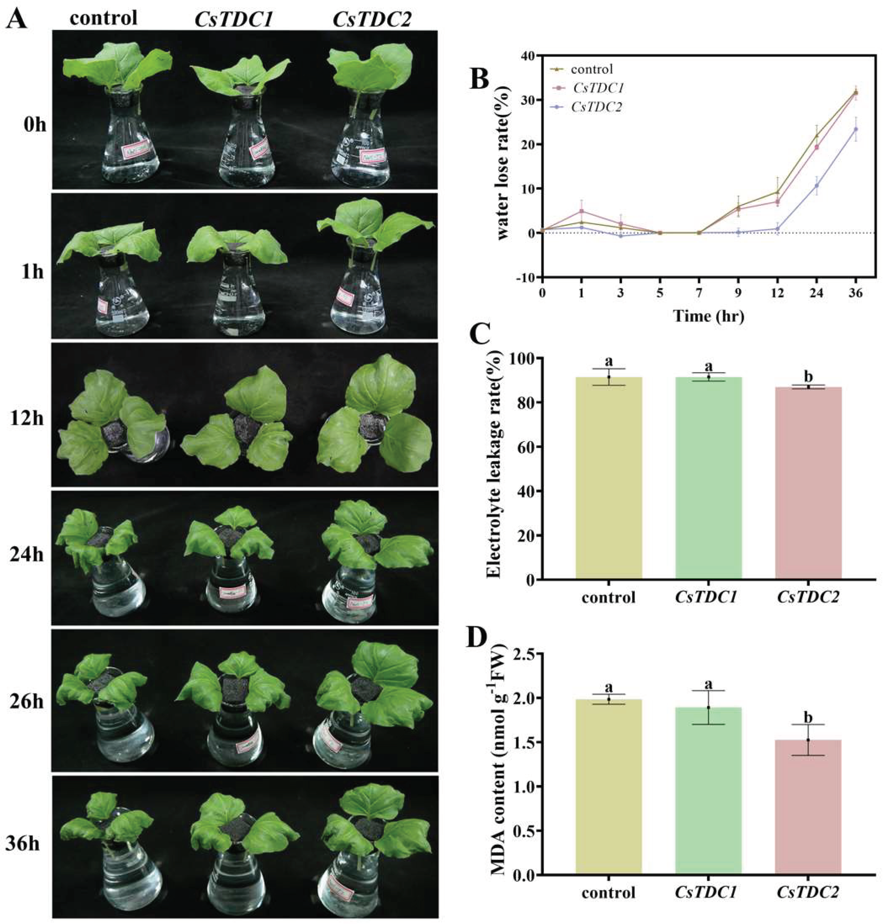 Preprints 99195 g007