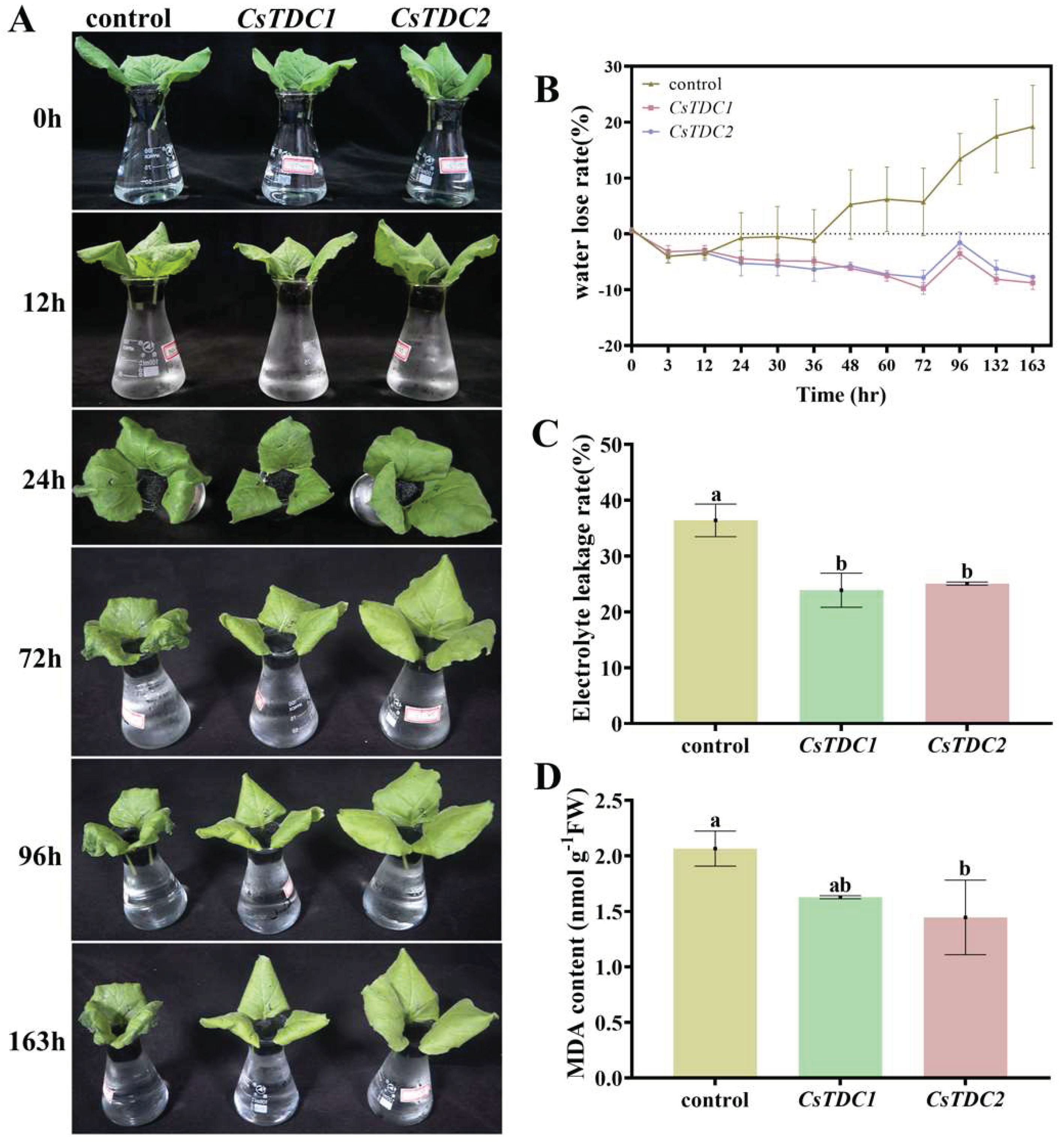 Preprints 99195 g009