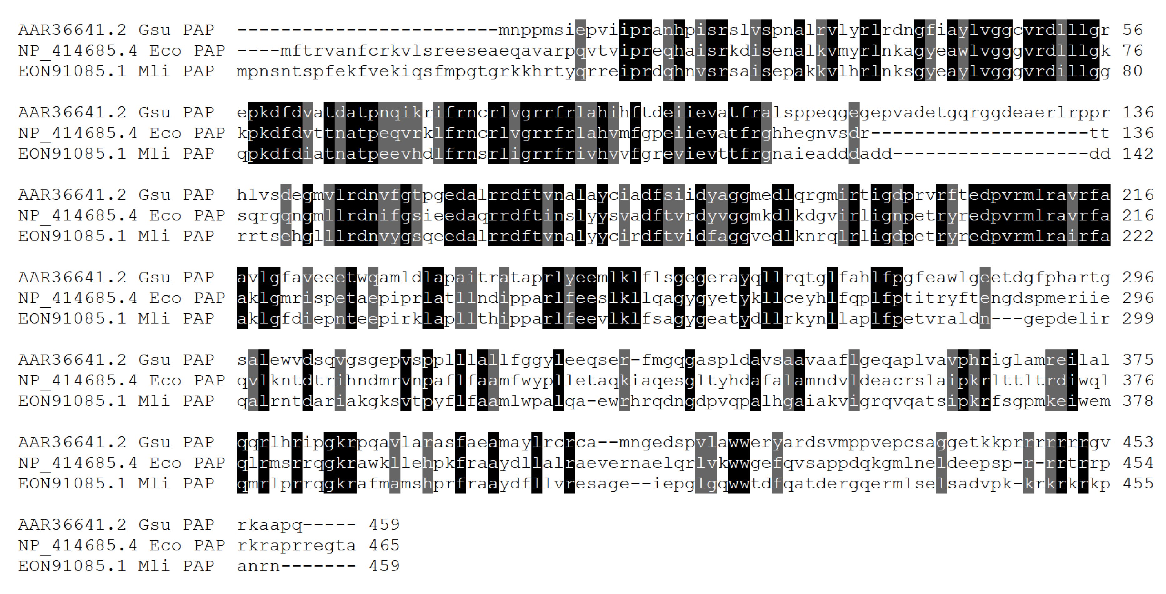 Preprints 188192 g001
