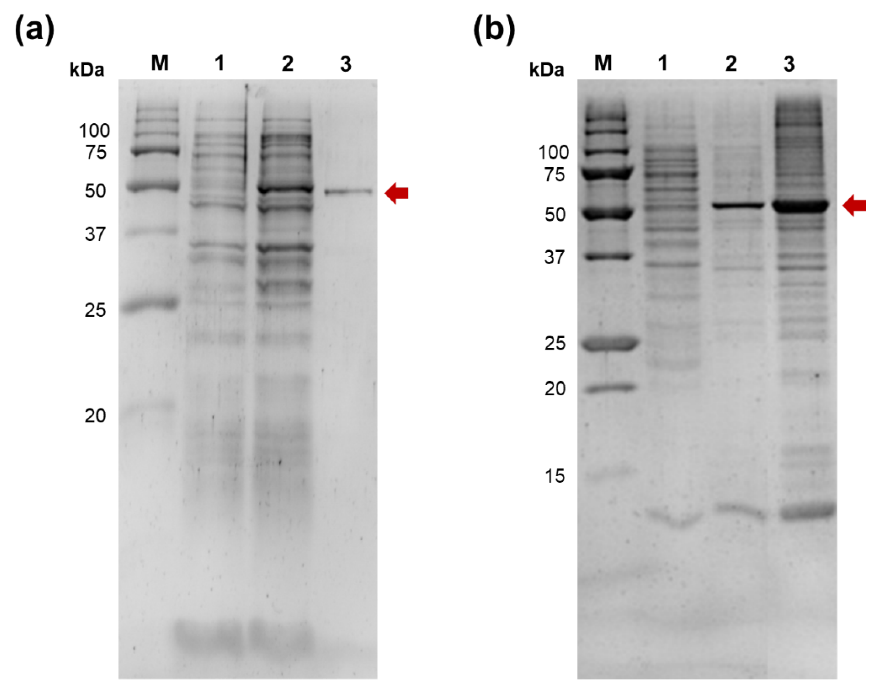 Preprints 188192 g002